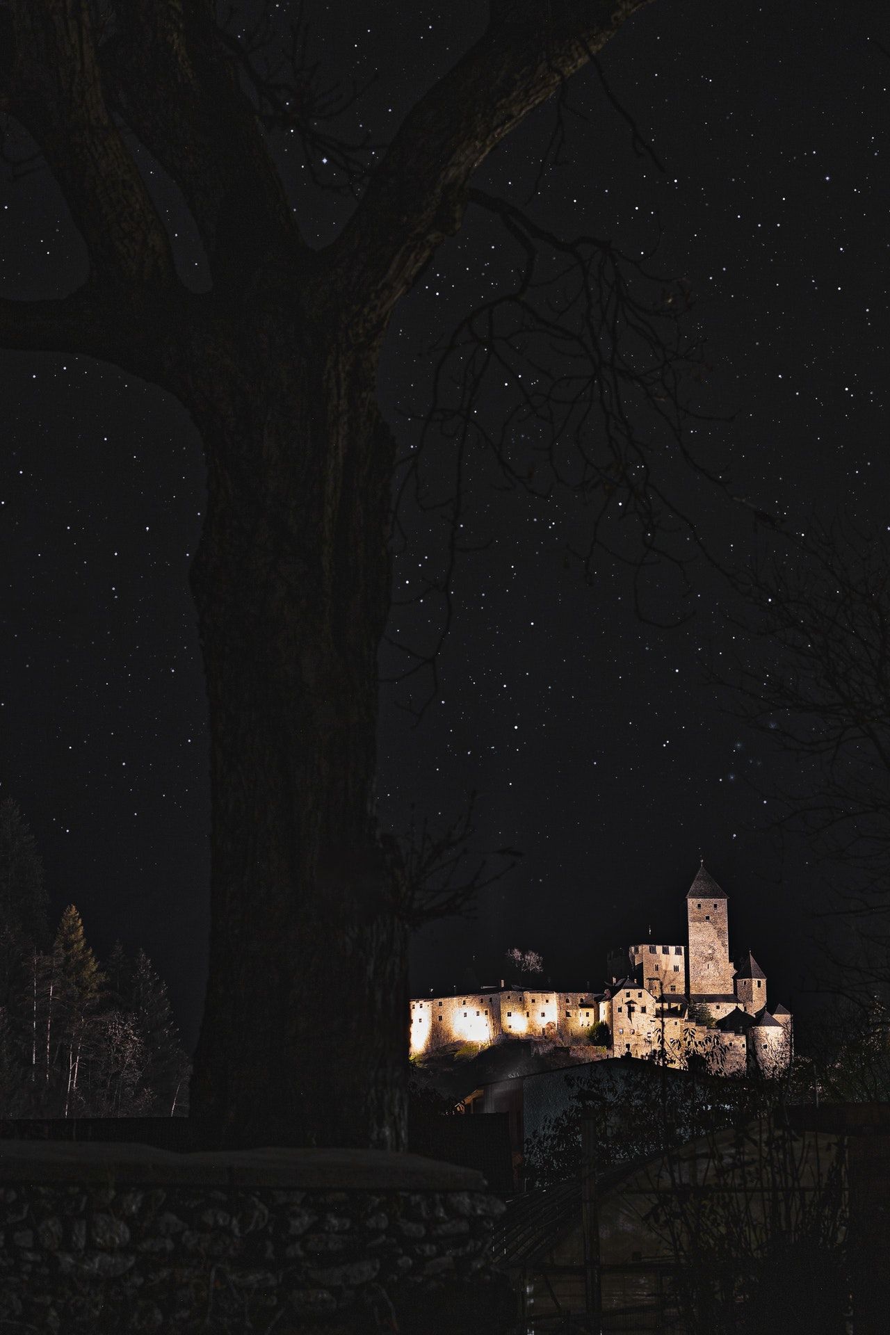 Beautiful wallpaper with castle and trees in the night