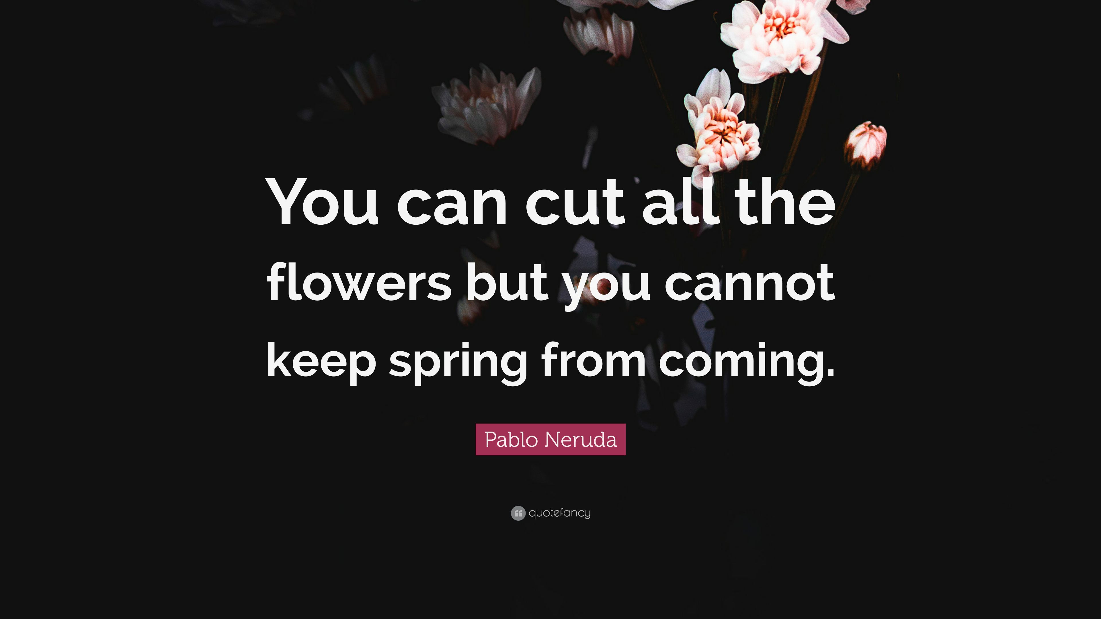 Pablo Neruda Quote: “You can cut all the flowers but you cannot