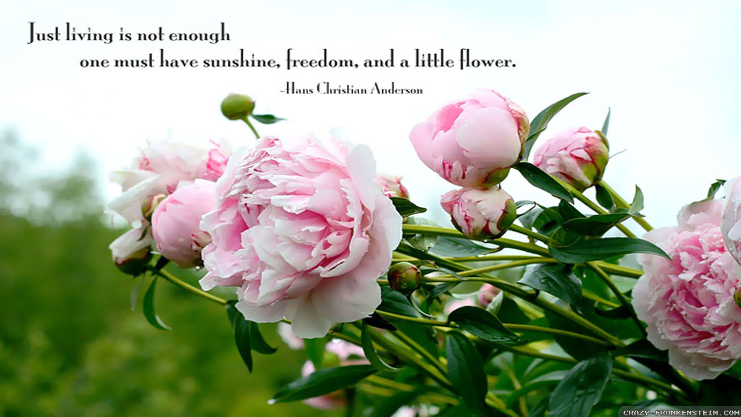 Quotes about Spring Flowers (94 quotes)