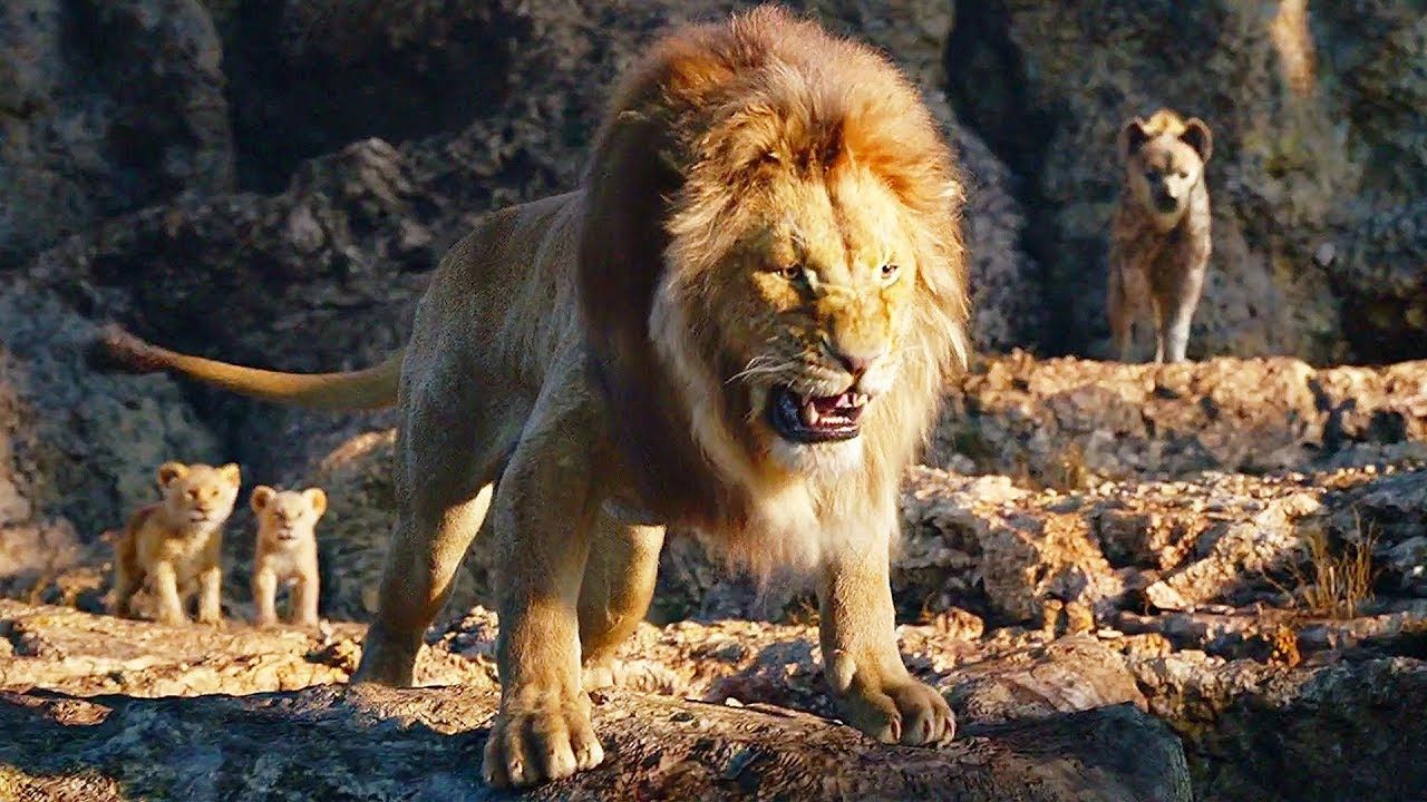 Mufasa 2019 Wallpapers - Wallpaper Cave