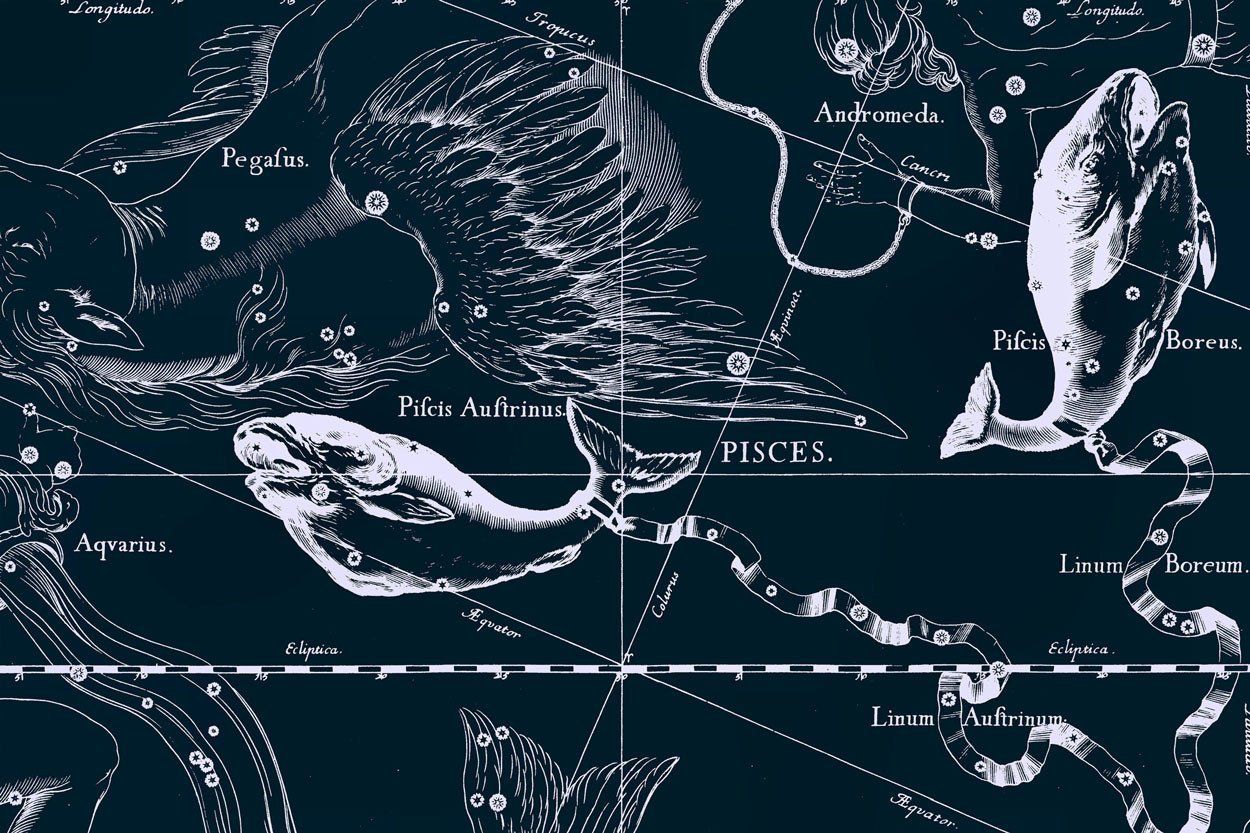 Pisces Constellation Map in Navy Wall Mural