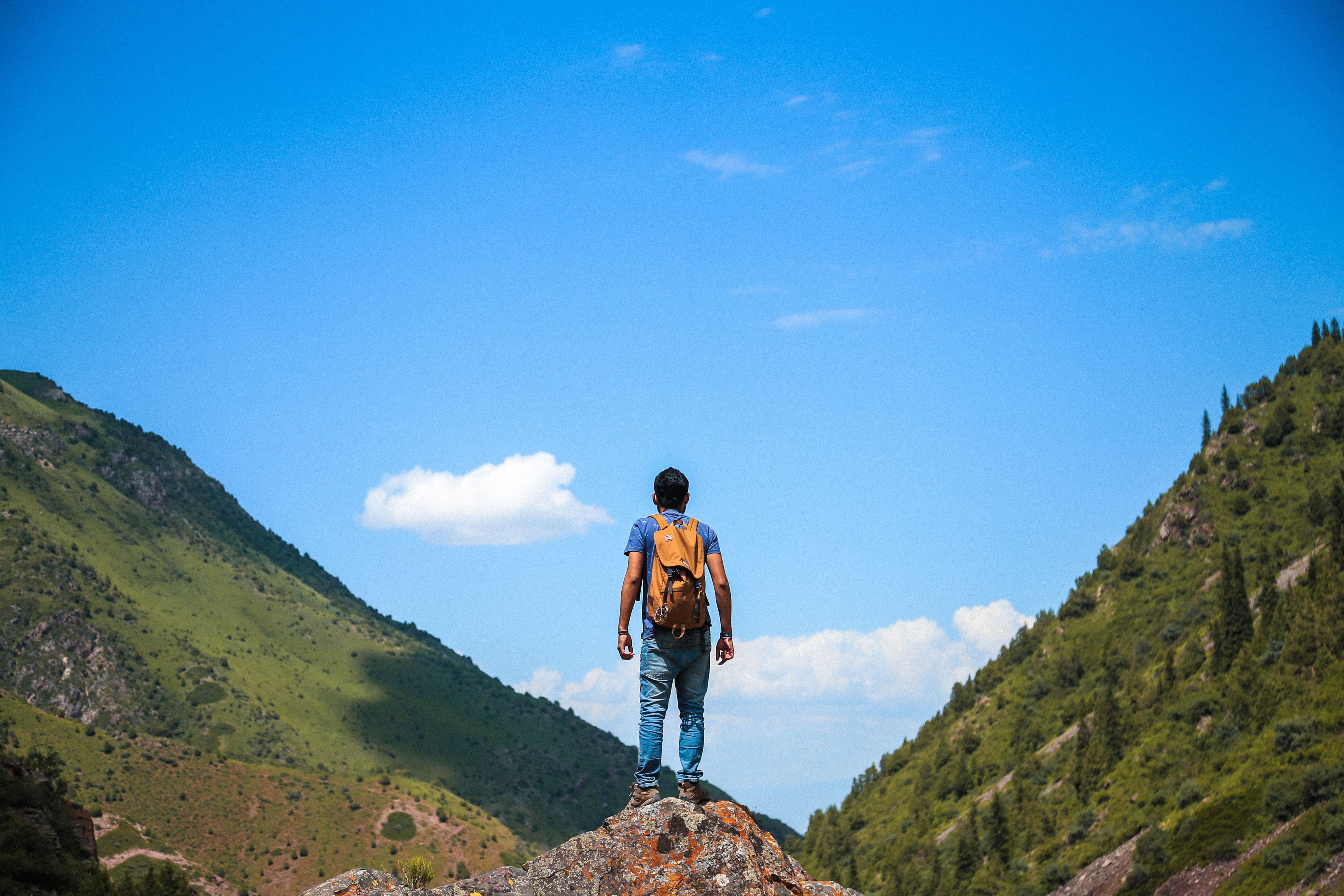 Man on Top of Mountain · Free