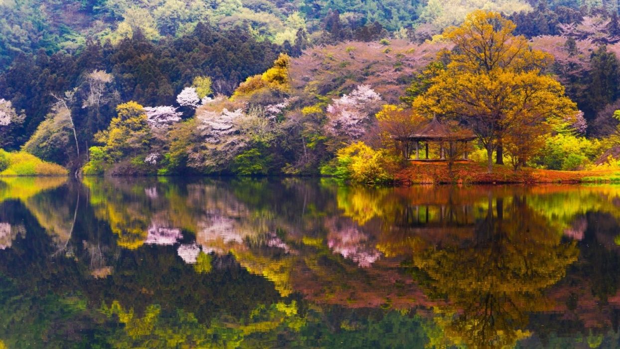 Lake Spring Yongbigi Tranquility Trees Beautiful Reservoir Korea