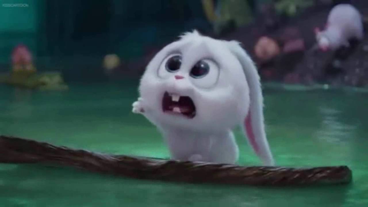 The Secret Life of Pets The Rabbit Is Zany!