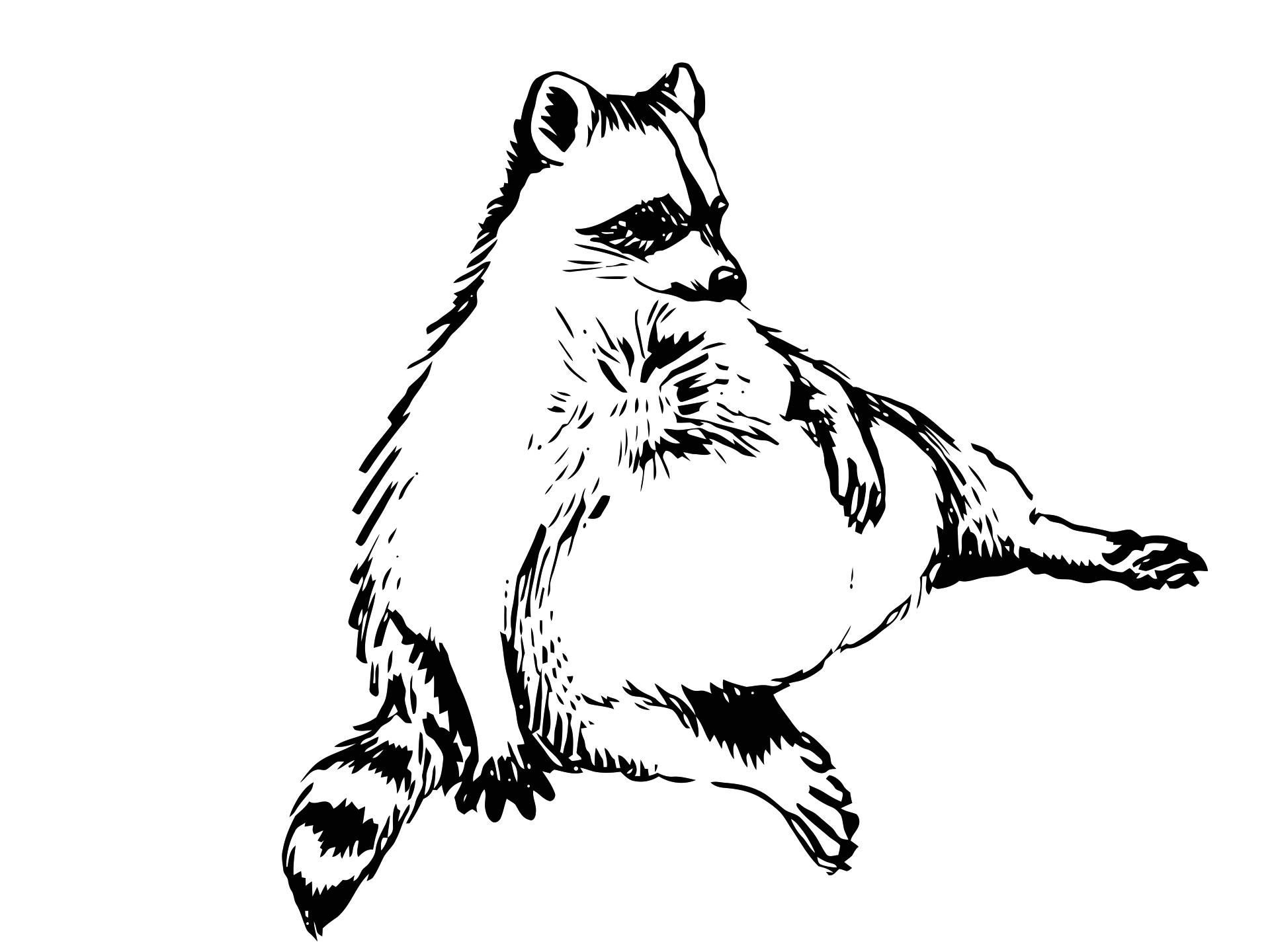 Drawing Tips + Ideas