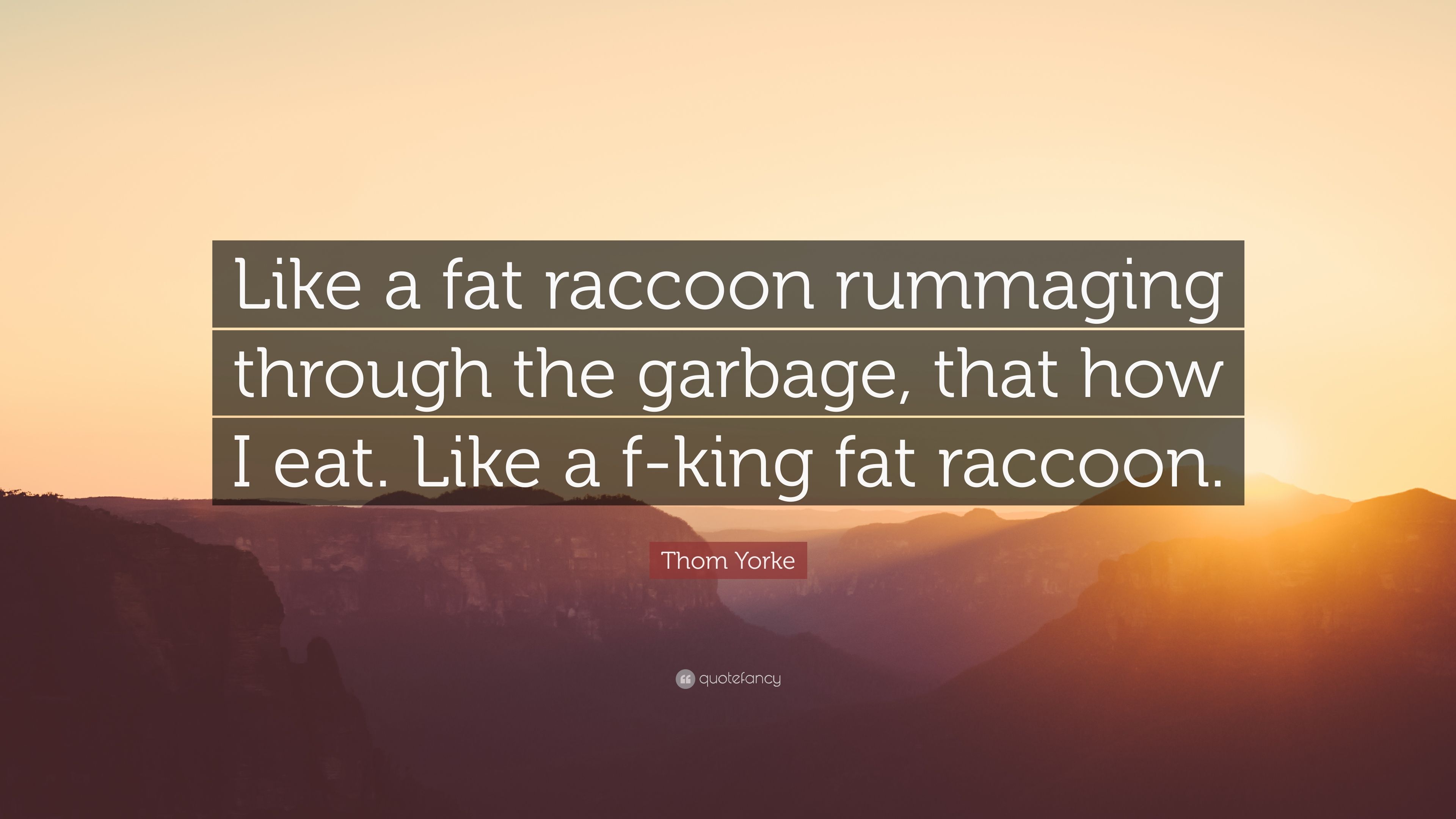 Thom Yorke Quote: “Like a fat raccoon rummaging through