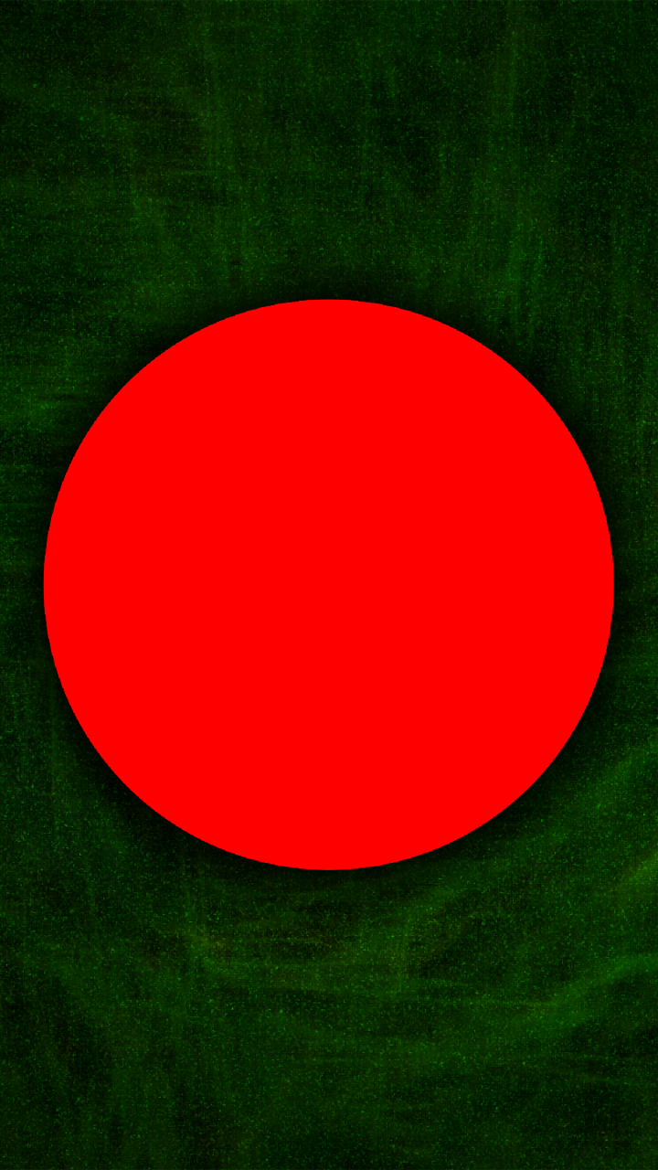 Misc Flag Of Bangladesh