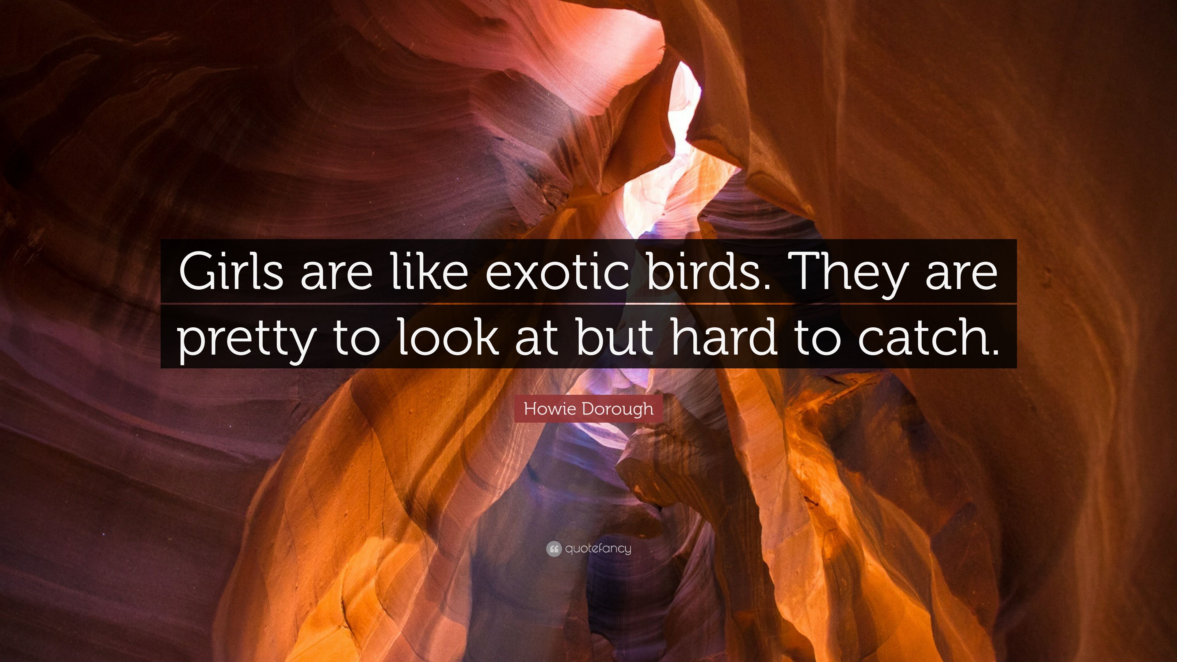 Howie Dorough Quote: “Girls are like exotic birds. They are pretty