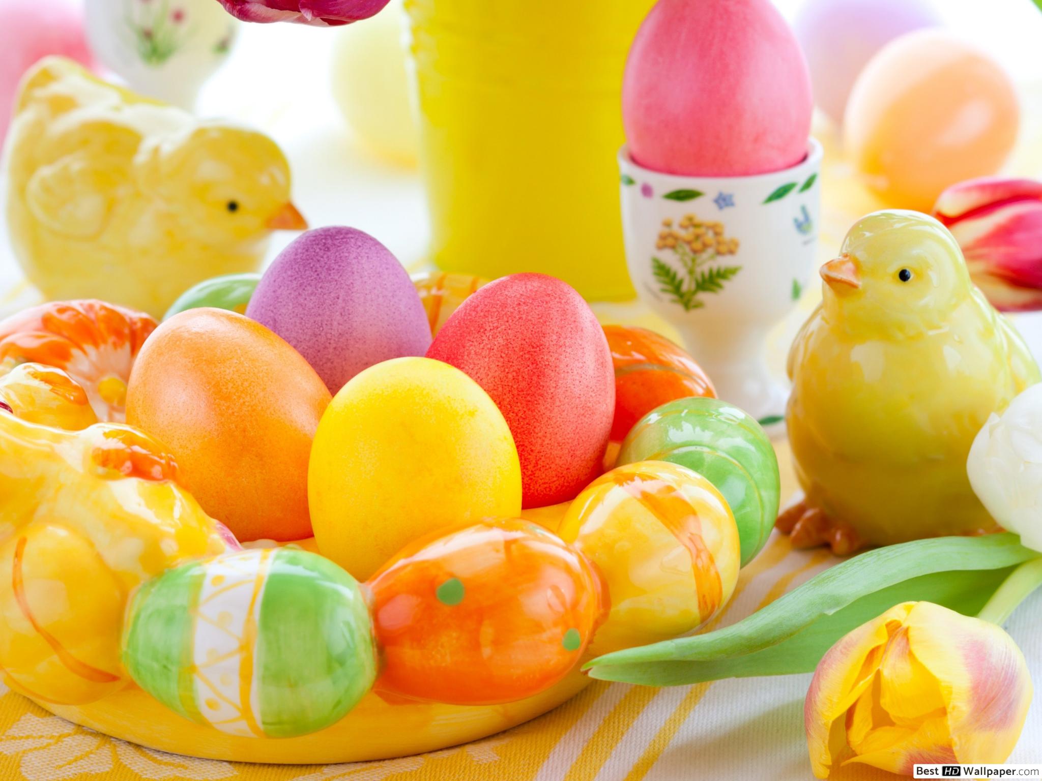 Colorful Easter egg with chicks figurines and flower HD wallpaper