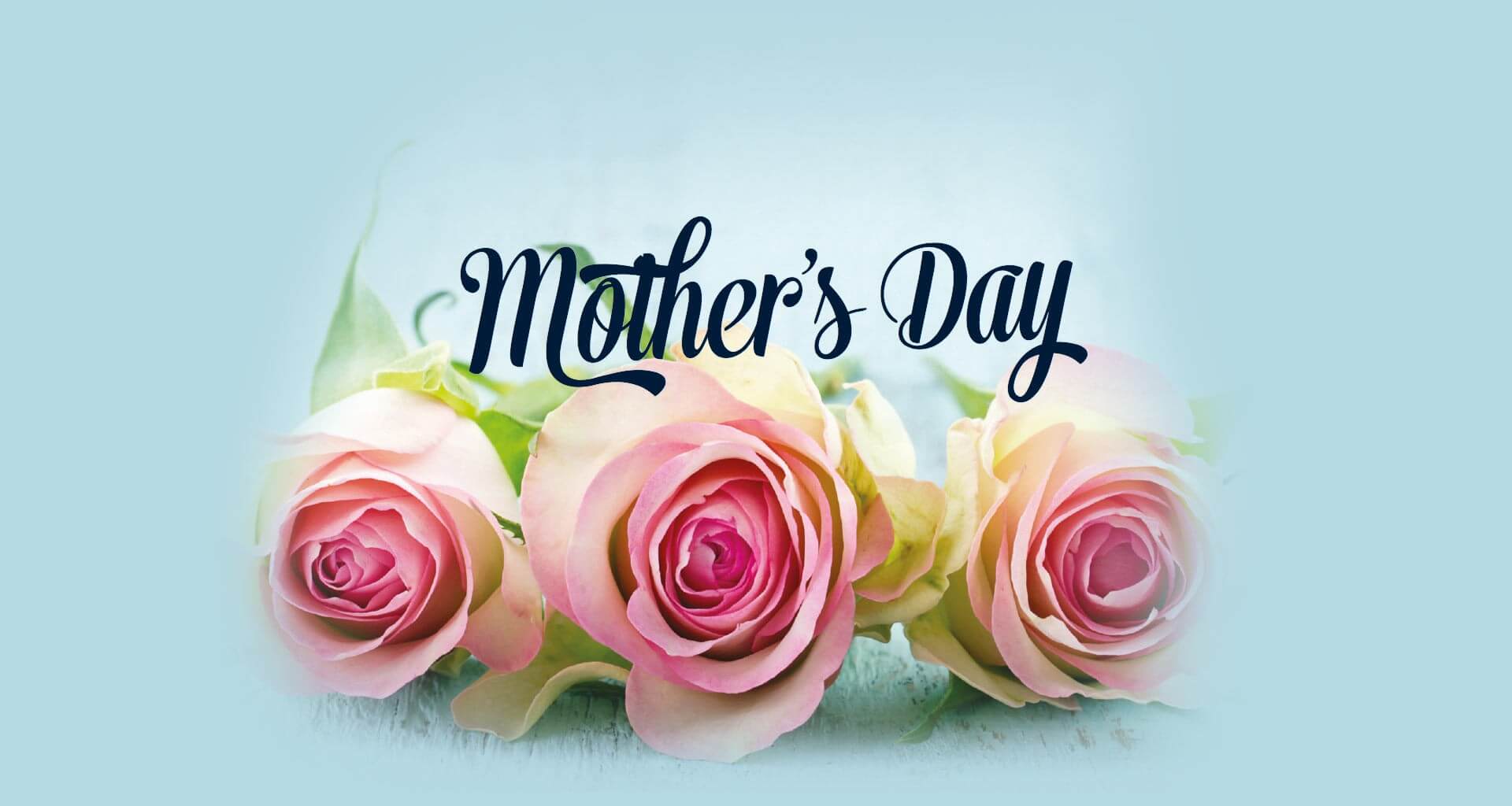 Happy Mothers Day Wishes Pink Roses Desktop HD Wallpaper