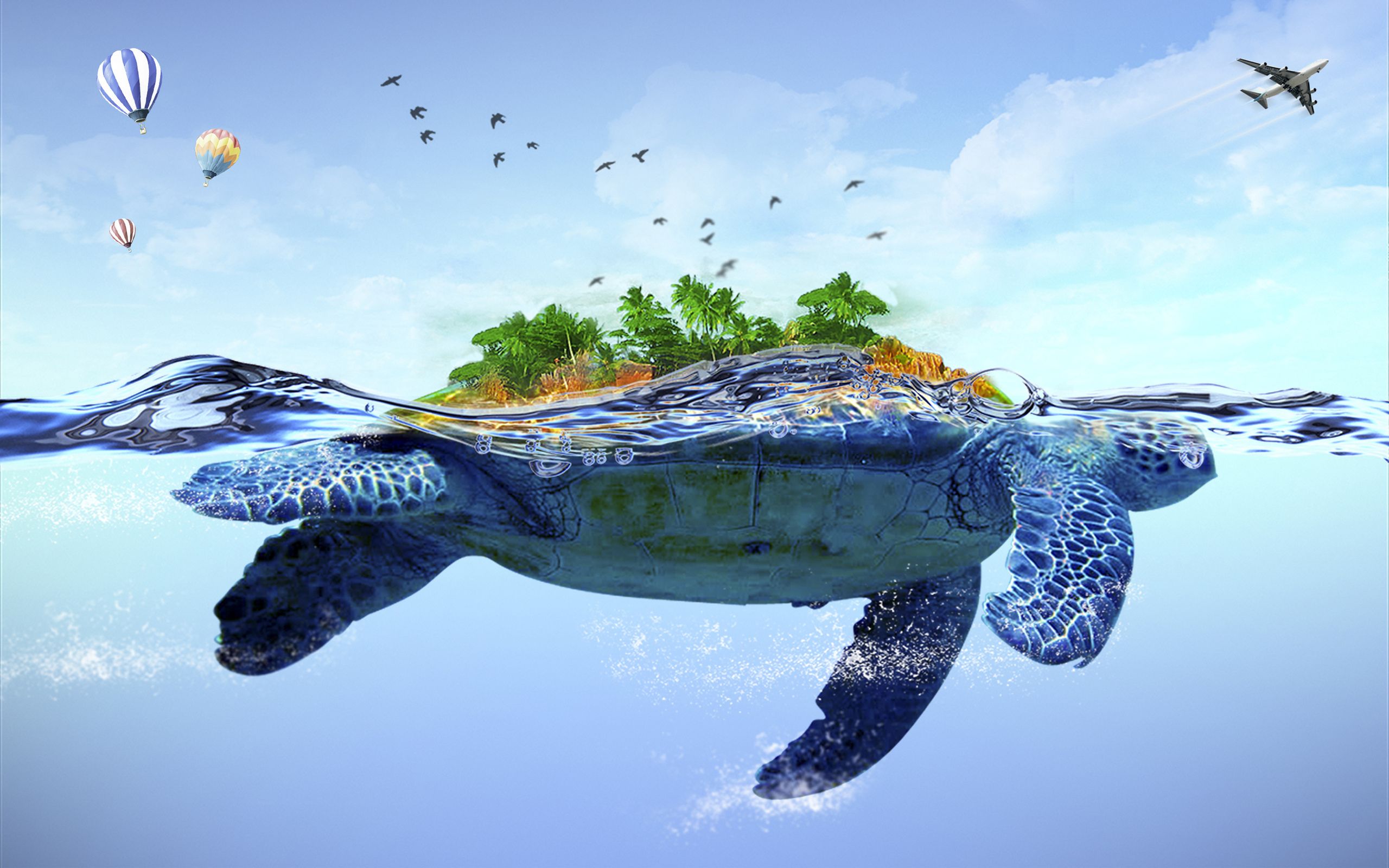 Turtle Background for Computer
