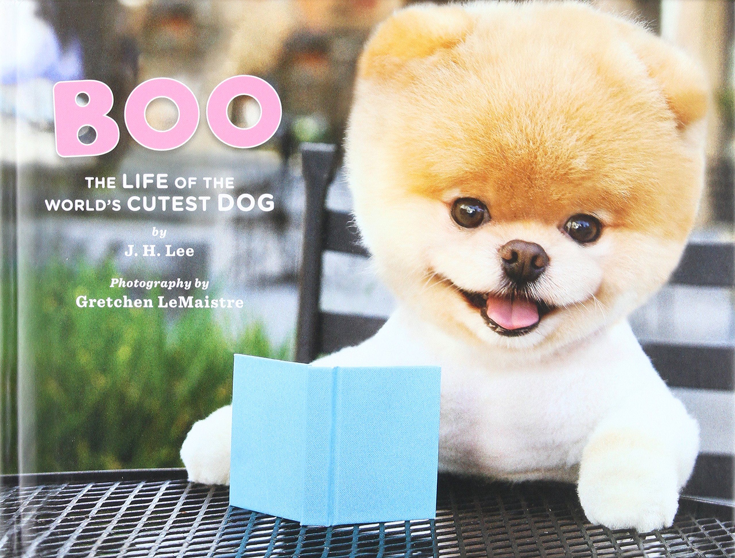 The Life Of The World's Cutest Dog Book Online At Low Dog So