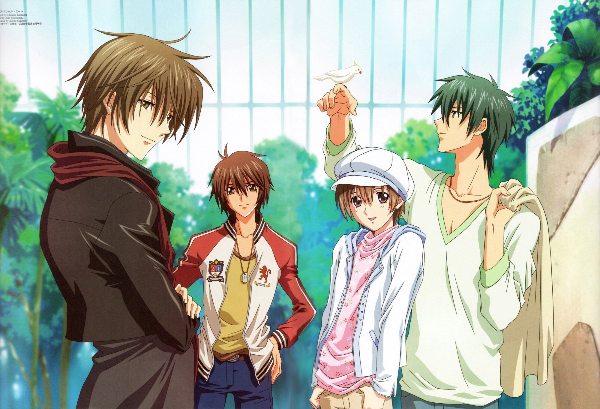 Special A Series anime group friend girls boys beautiful wallpaper