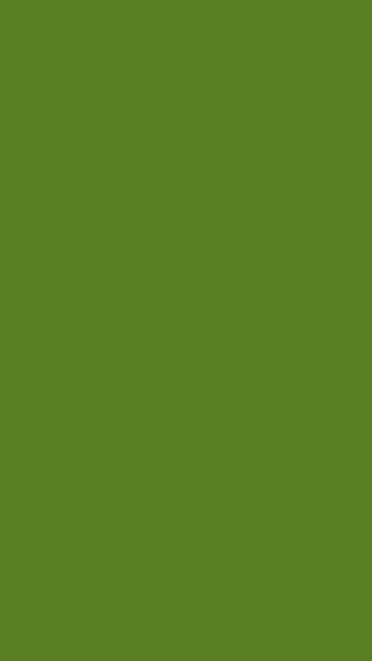 Use this BLOG as a color scheme tool!: Dark olive green wallpaper