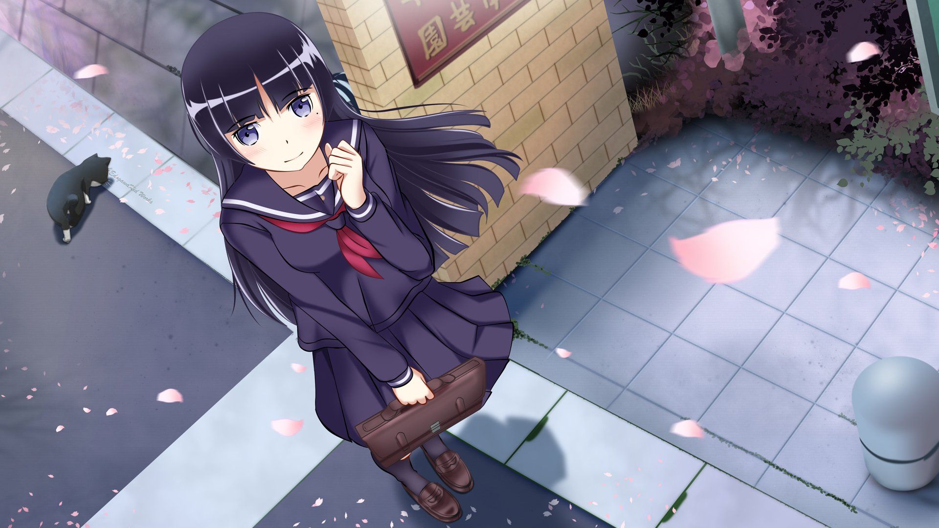 Ruri Gokō HD Wallpaper and Background Image