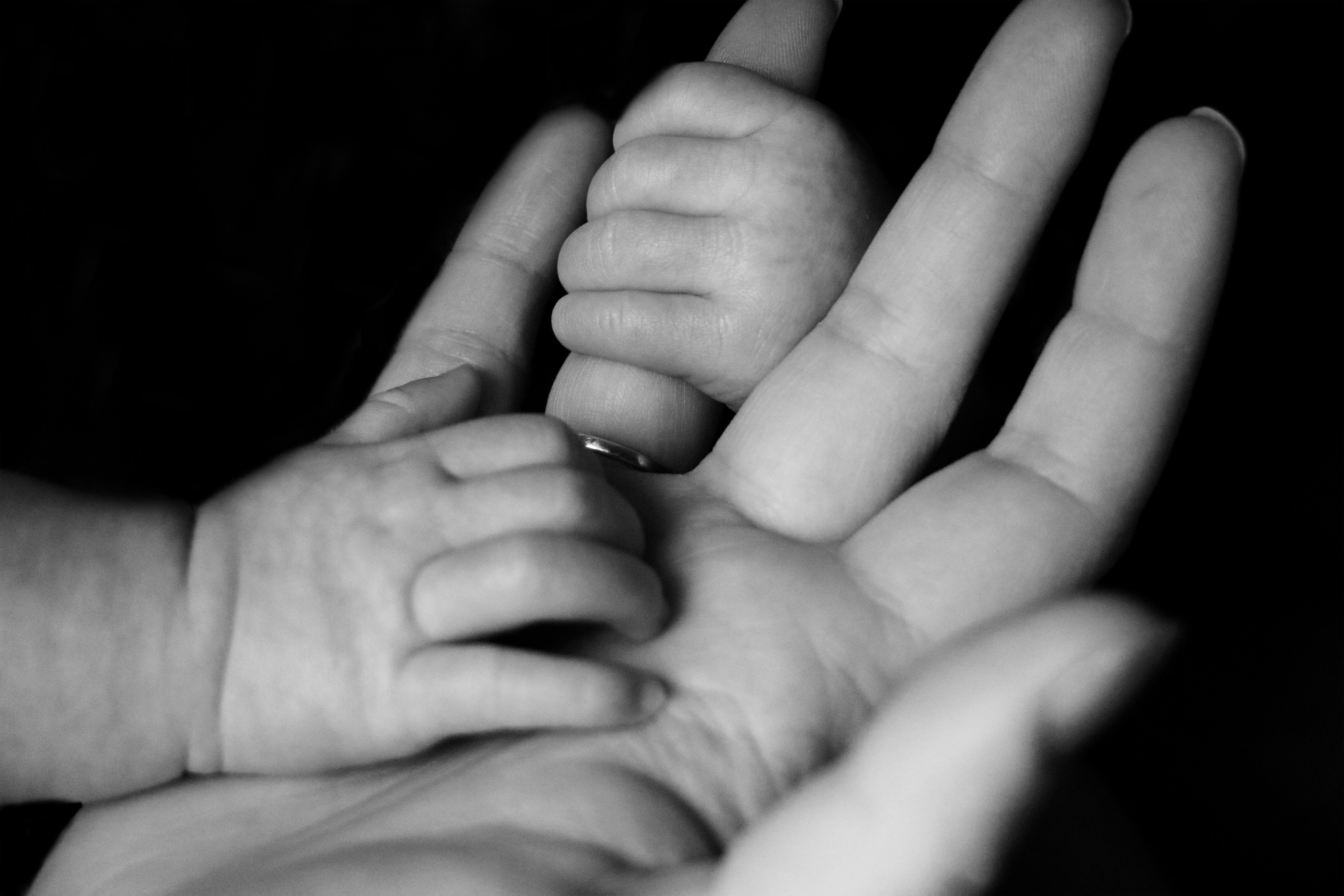 4961x3307 #family, #mother, #small, #holding on, #Public