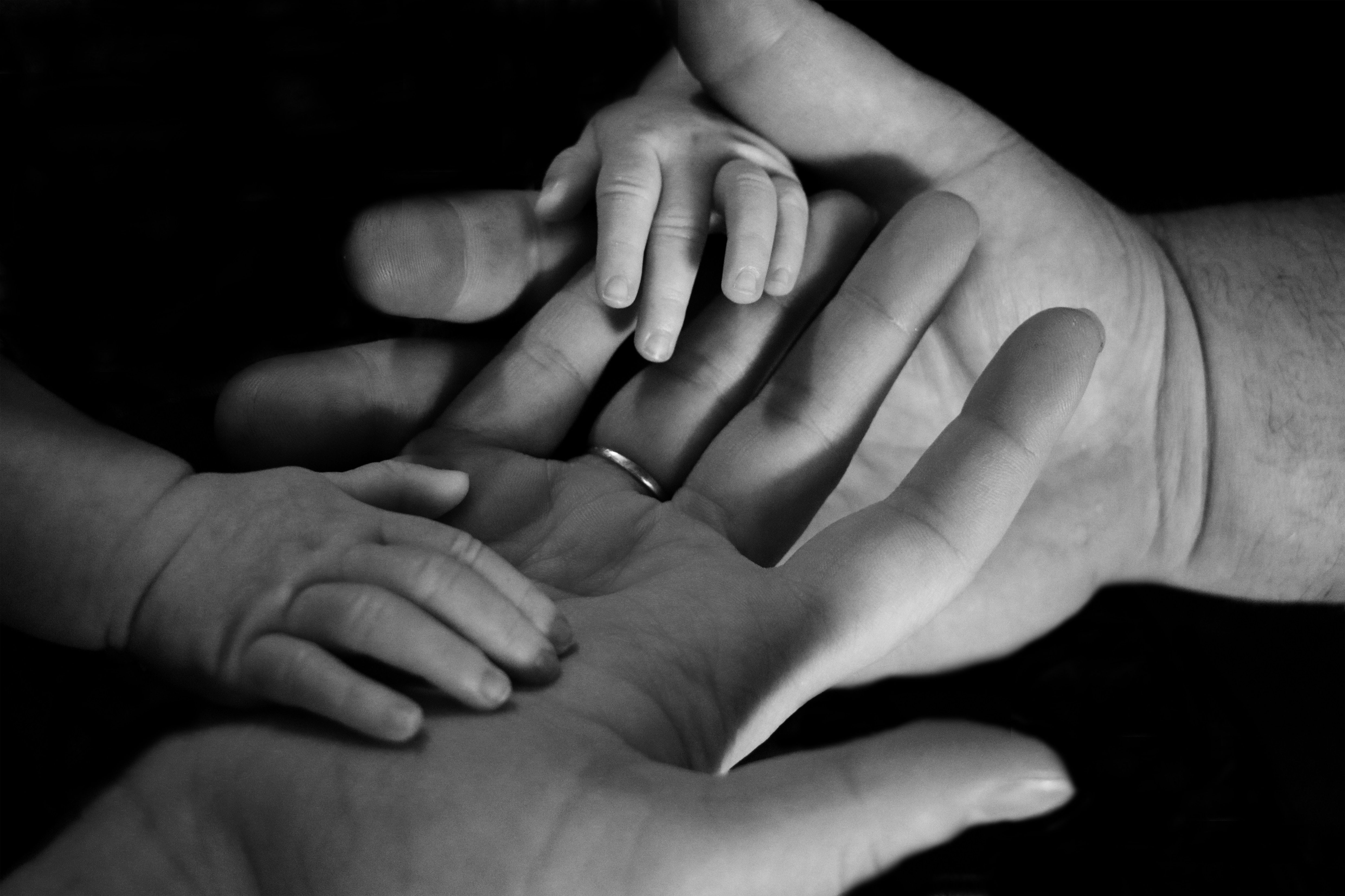 4961x3307 #father, #baby, #family, #black and white, #bond, #mum, #love, #monochrome, #together, #mom, #holding on, #large, #small, #hand, #Free image, #dad, #mother. Mocah HD Wallpaper
