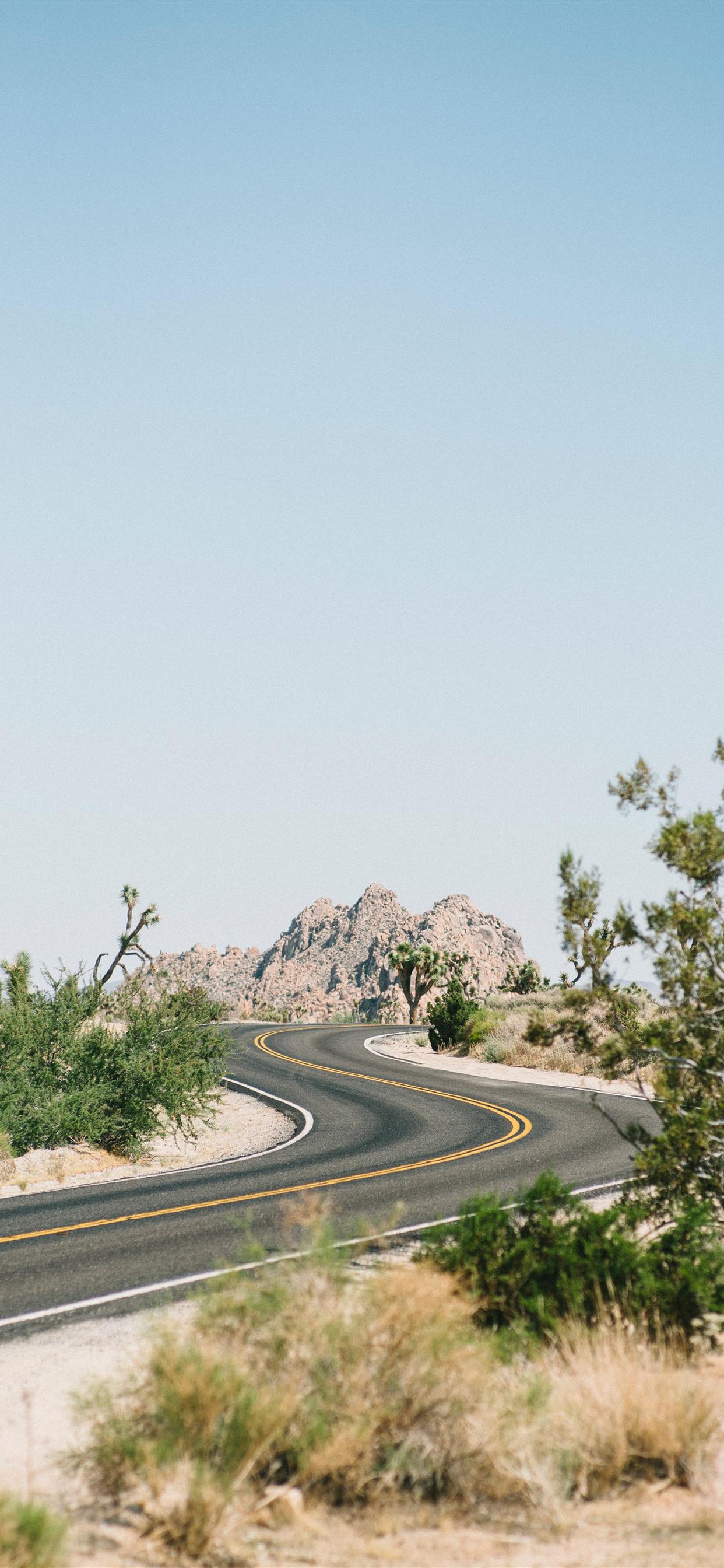 Joshua Tree National Park United States iPhone Wallpaper Free