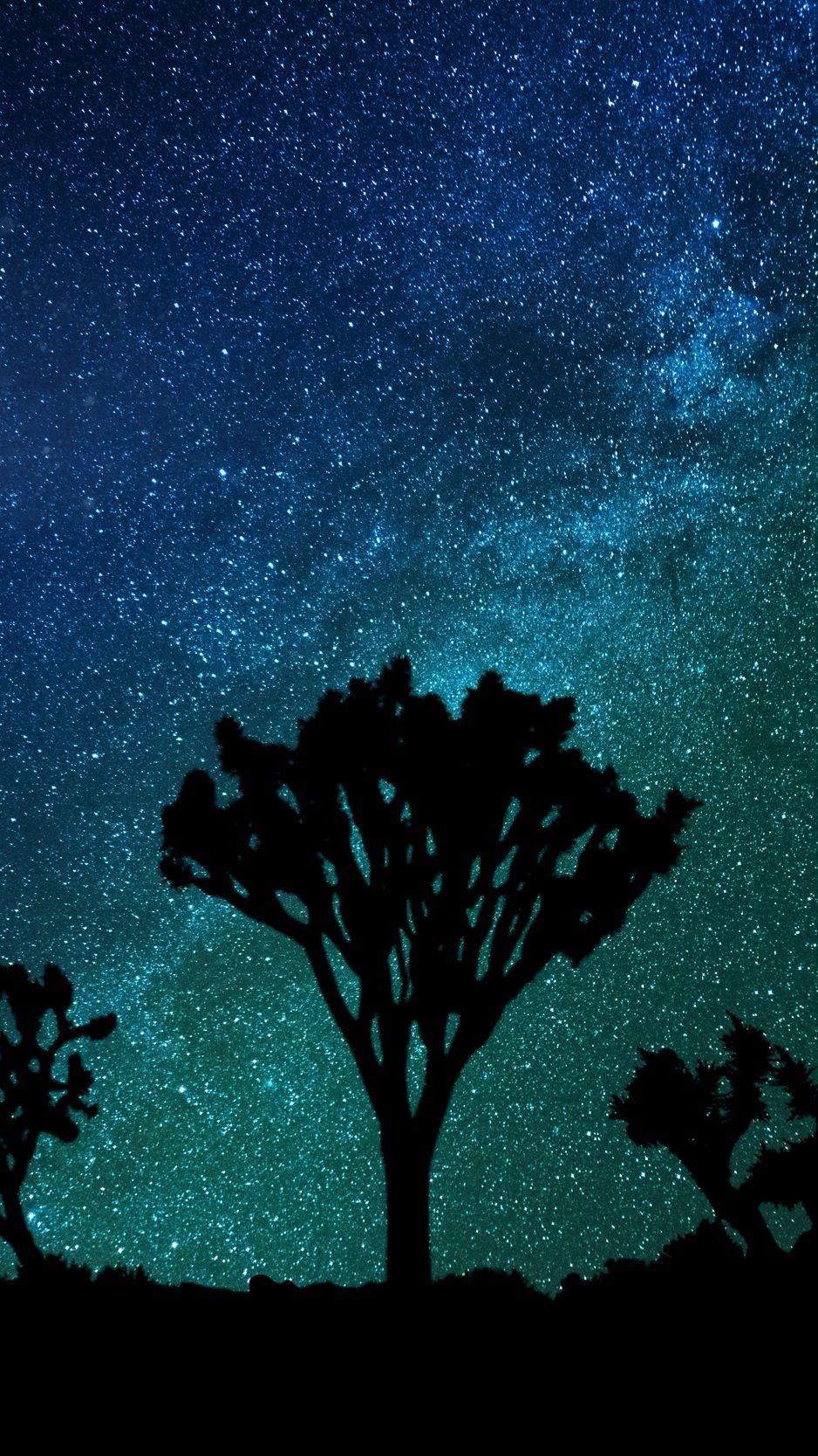 Download wallpaper 938x1668 starry sky, milky way, joshua tree