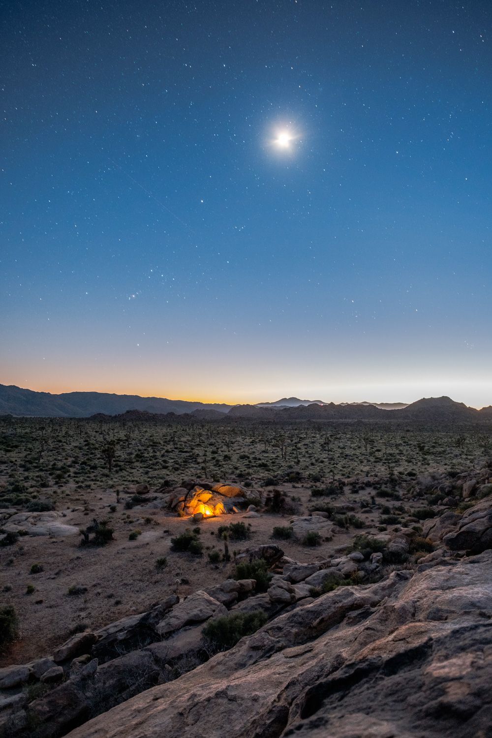 Joshua Tree National Park