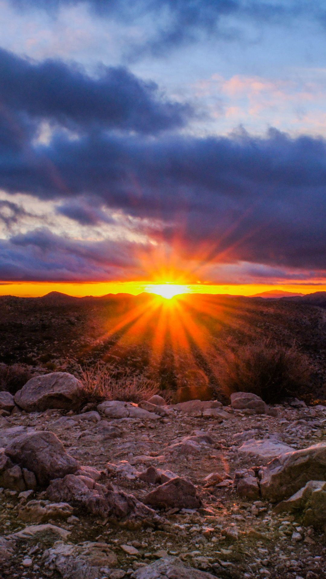 New iPhone Wallpaper