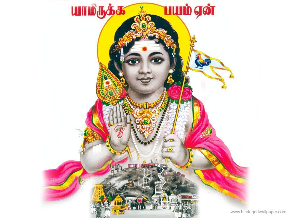 FREE Download God Muruga Wallpaper. Lord murugan, Lord murugan wallpaper, Hindu gods