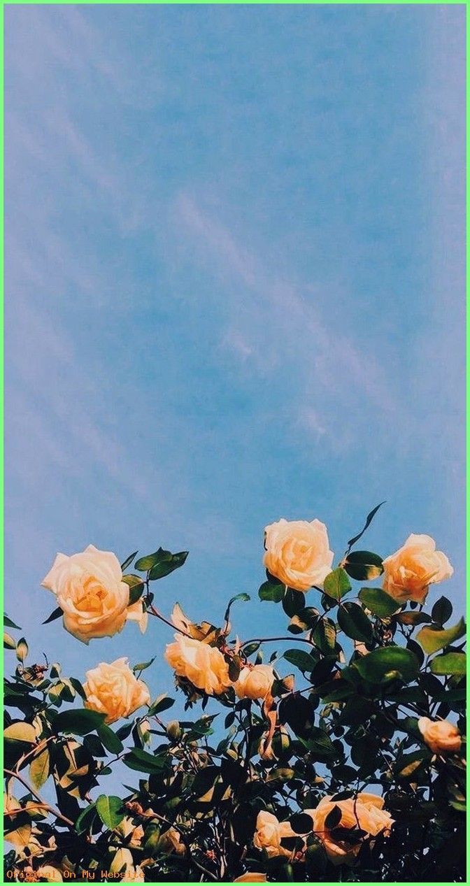 Wallpaper Background Aesthetic Flower Wallpaper