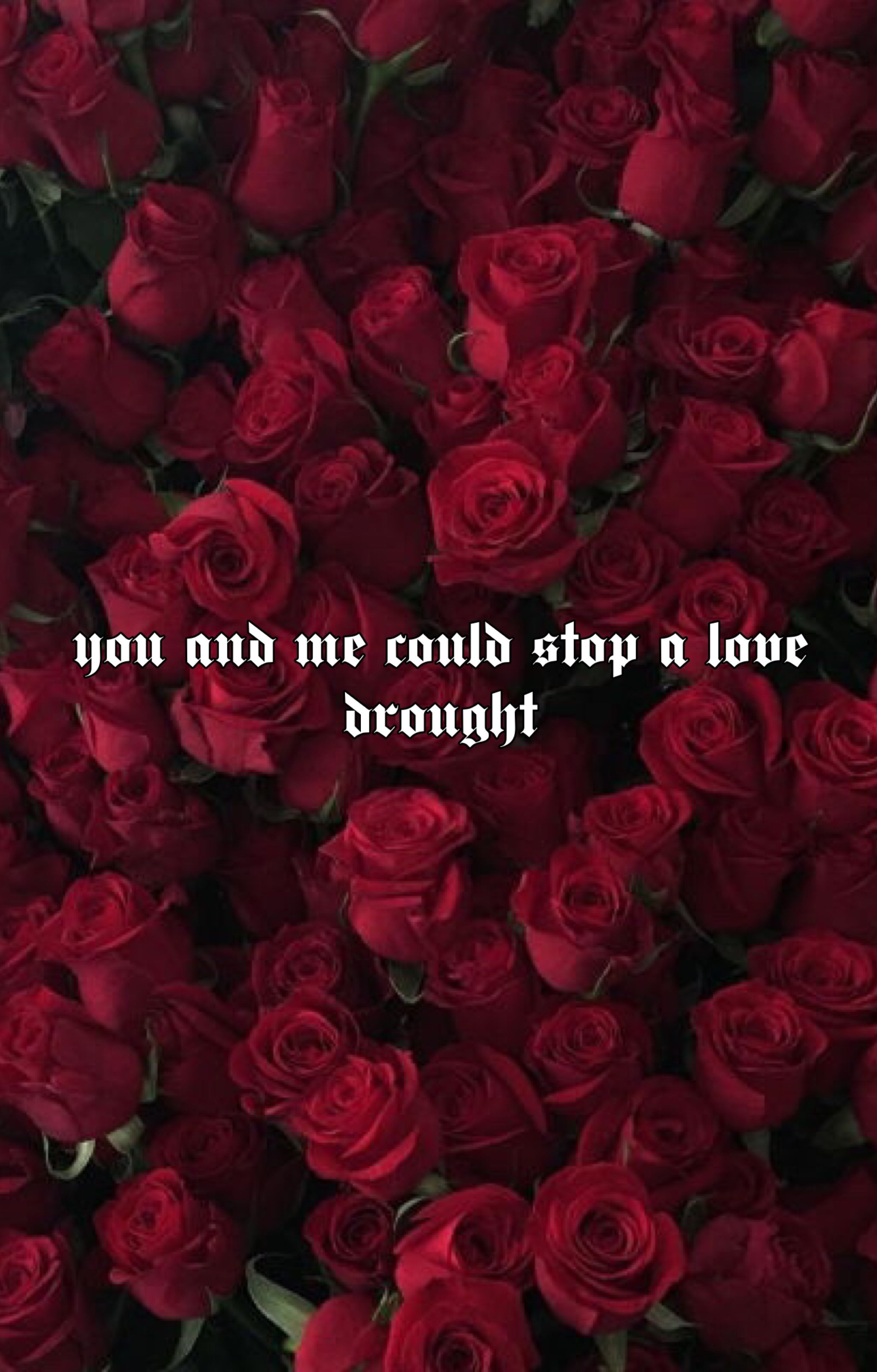 Love drought // beyonce #wallpaper#aesthetic#roses#red#lyrics