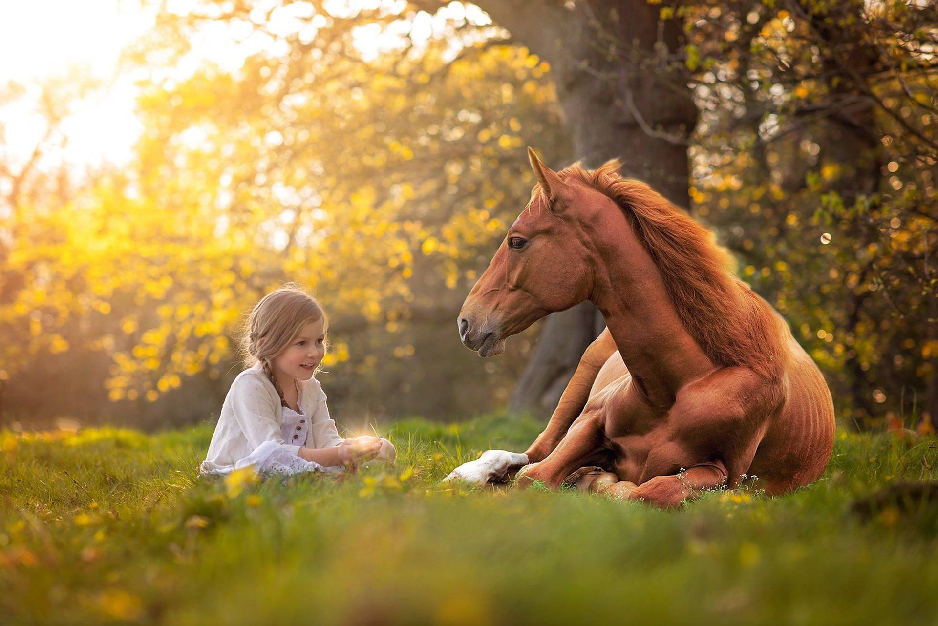 Little Girl and Horse HD Wallpaper. Background Imagex1282