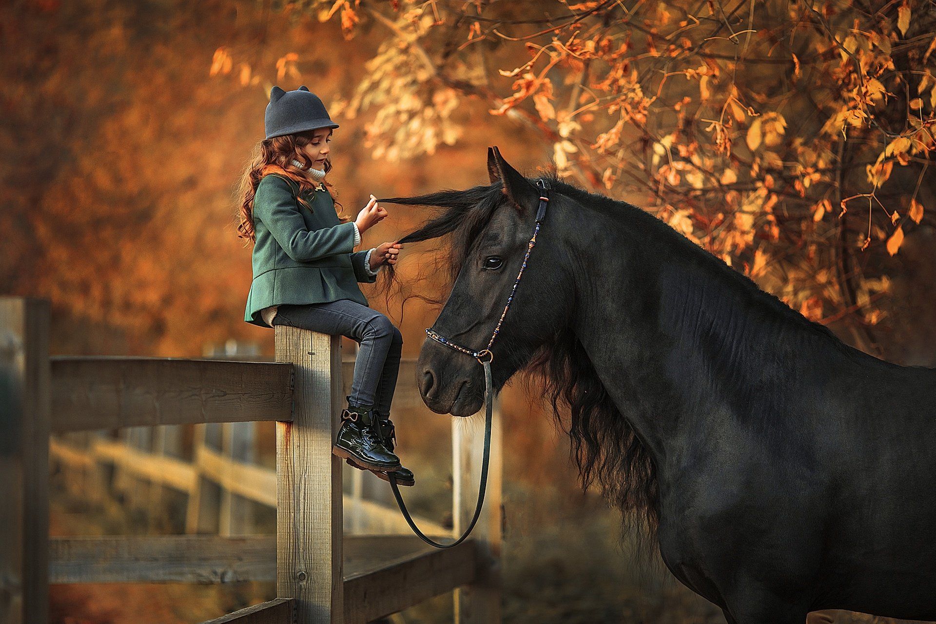 Girl sitting on a fence post petting her horse HD Wallpaper