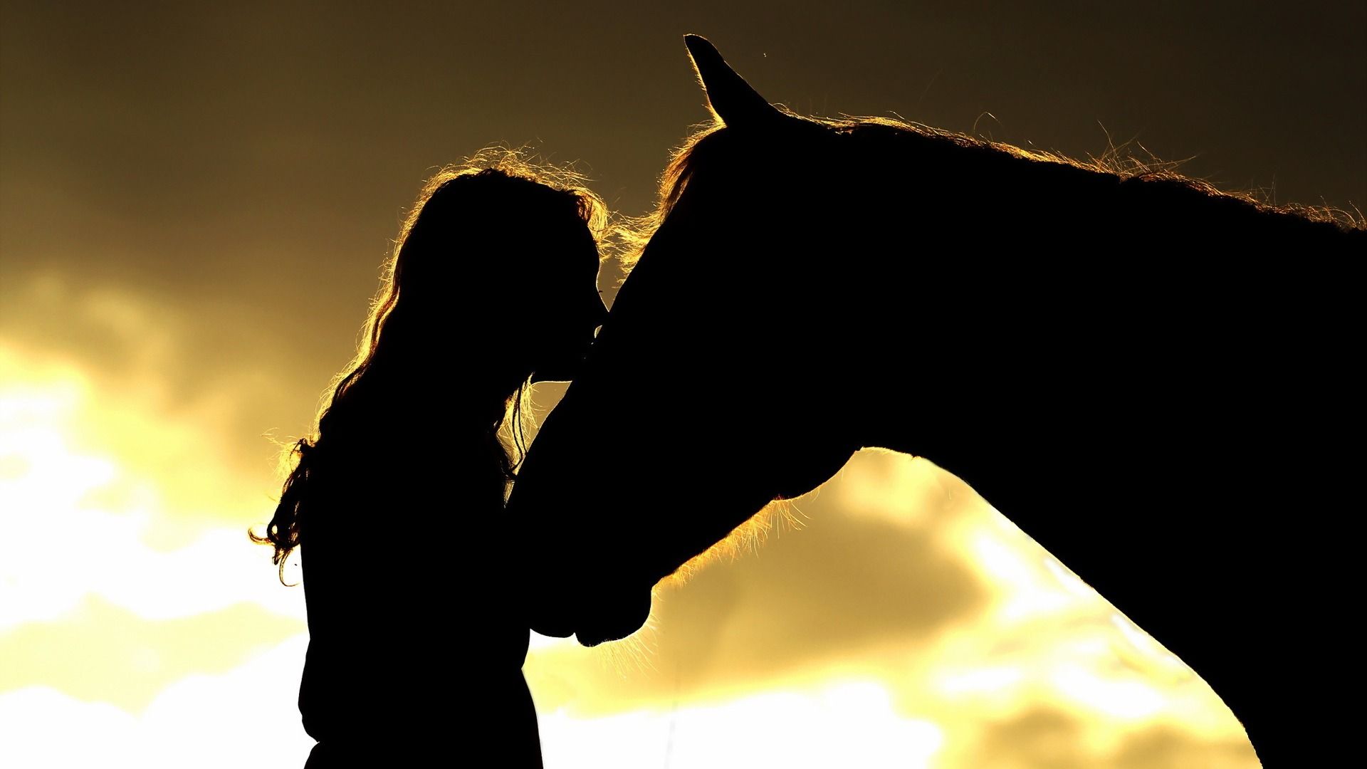 Download wallpaper girl horse silhouettes, mood resolution 1920x1080. Horse silhouette, Dog silhouette, Silhouette