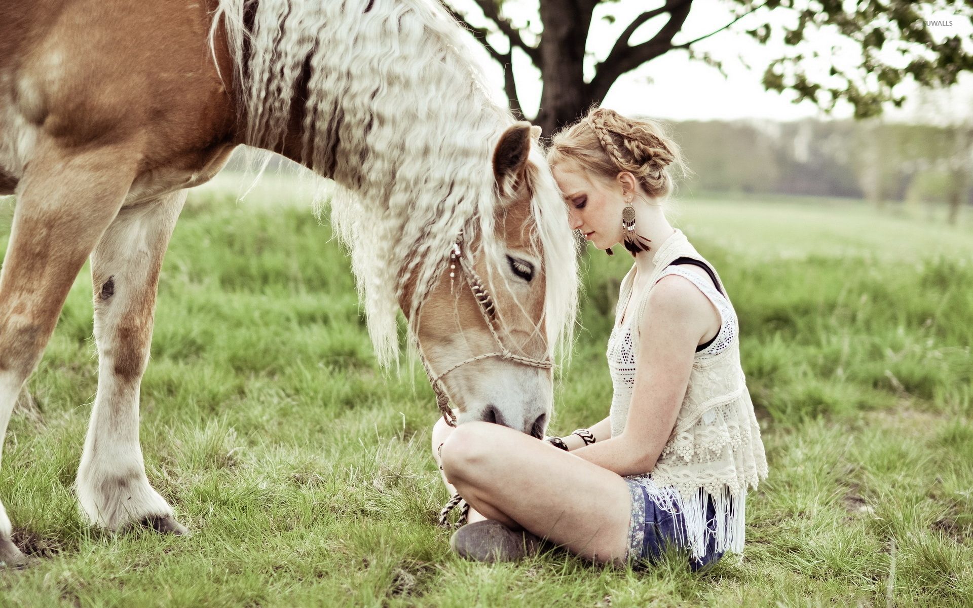 Blonde girl with a beautiful horse wallpaper wallpaper