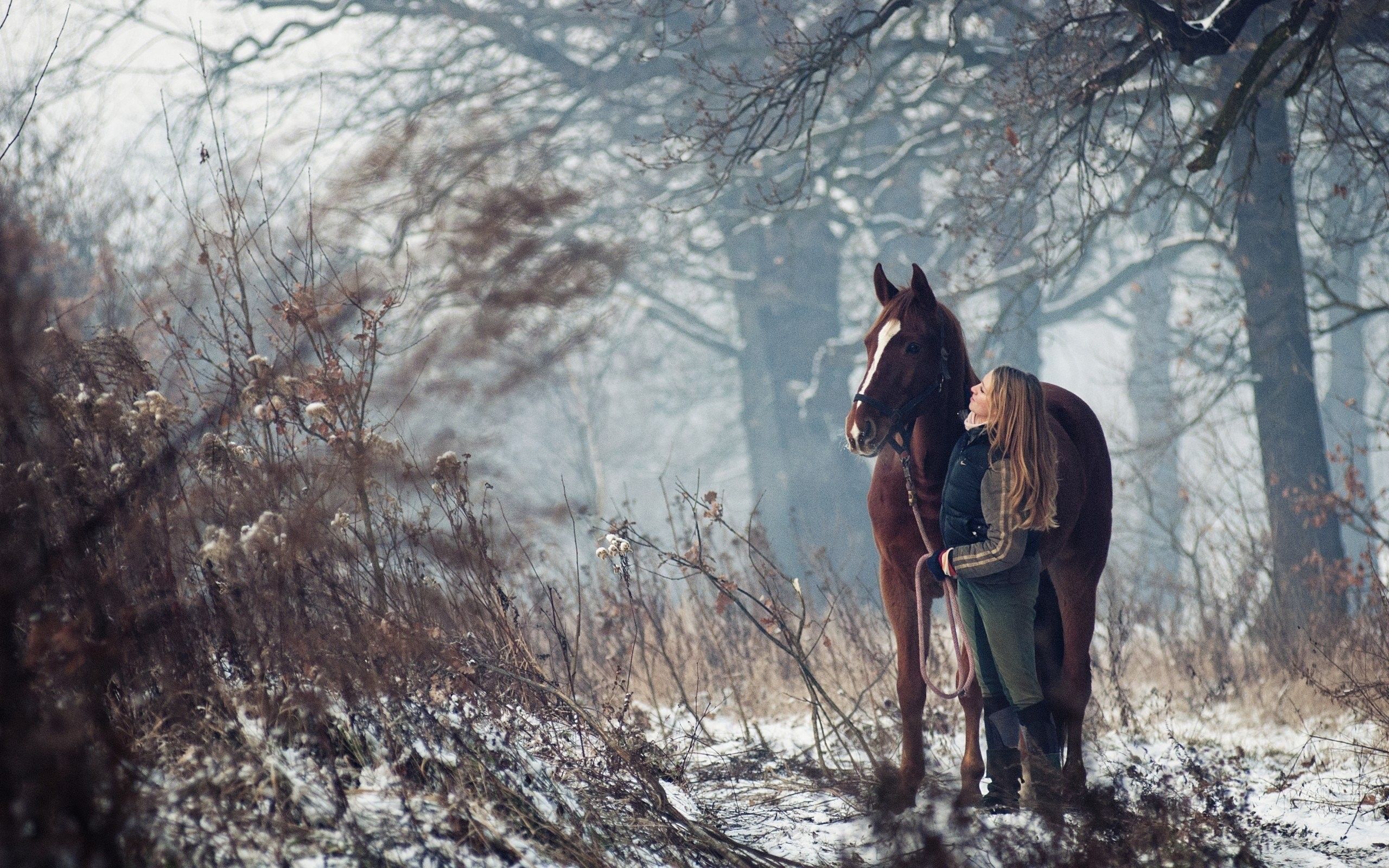 Girl And Horse Wallpapers - Wallpaper Cave