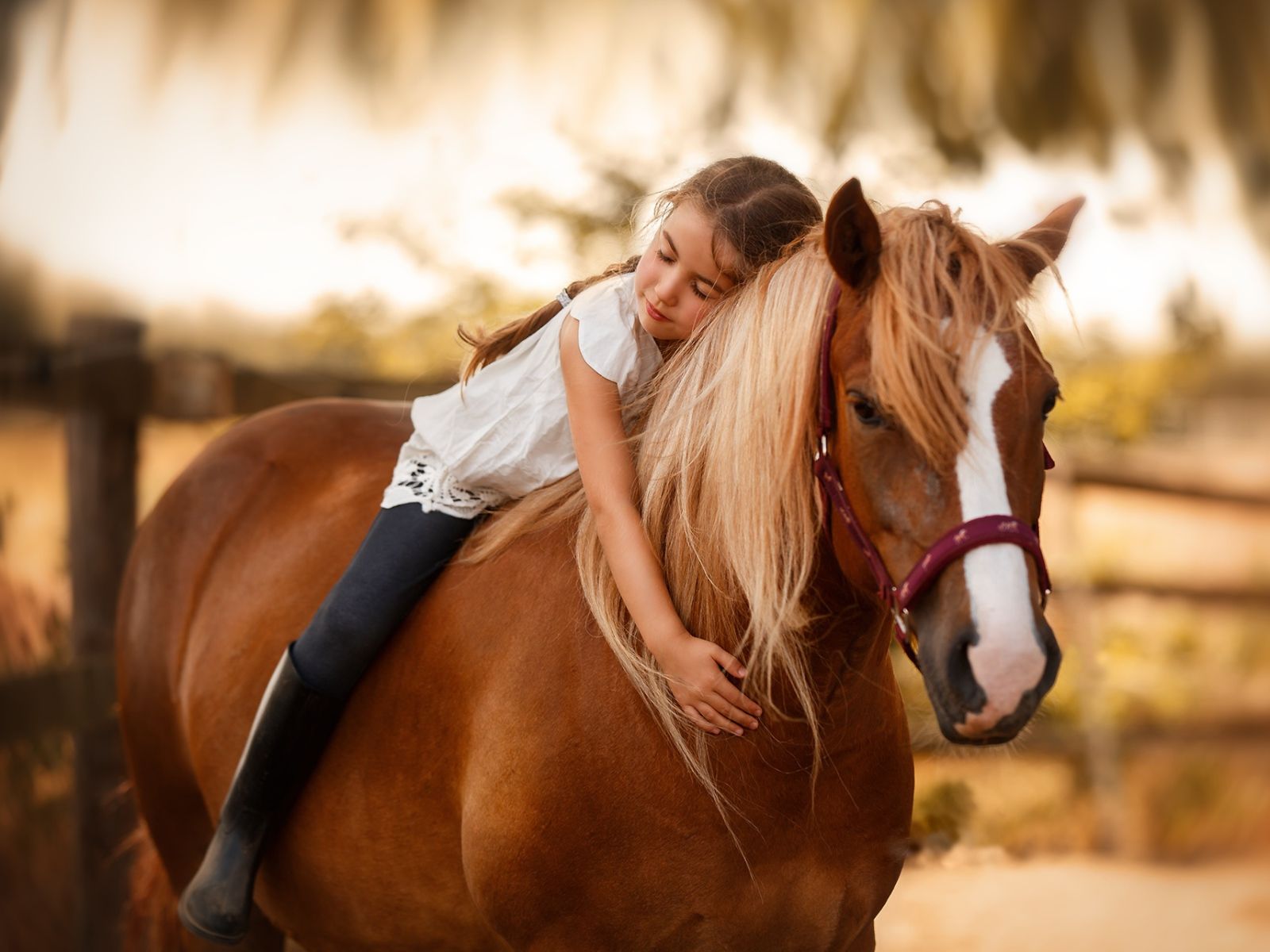 Little girl sitting on a horse Desktop wallpaper 1600x1200