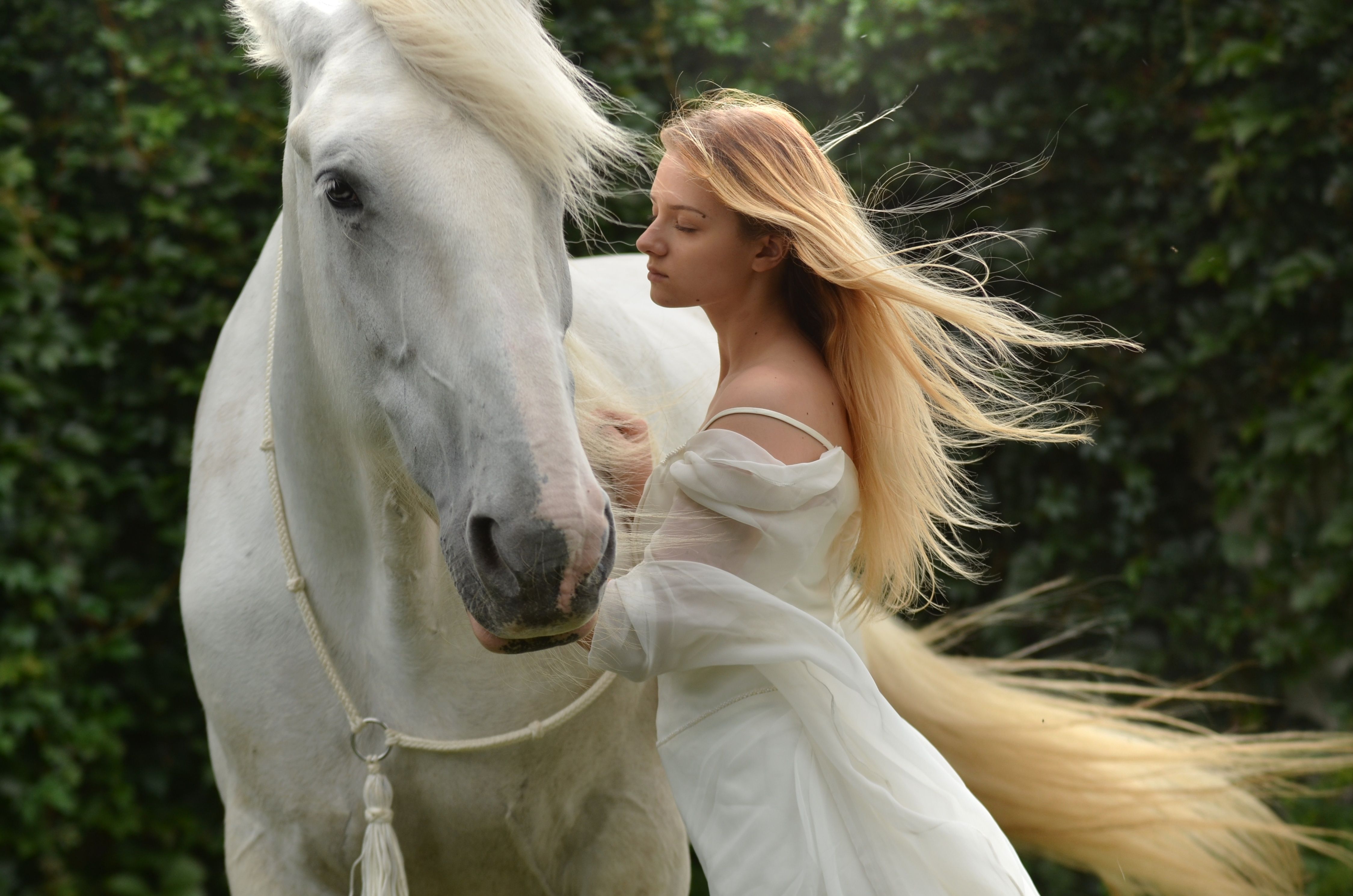 Picture horse Blonde girl 2 Girls White Animals 4500x2981