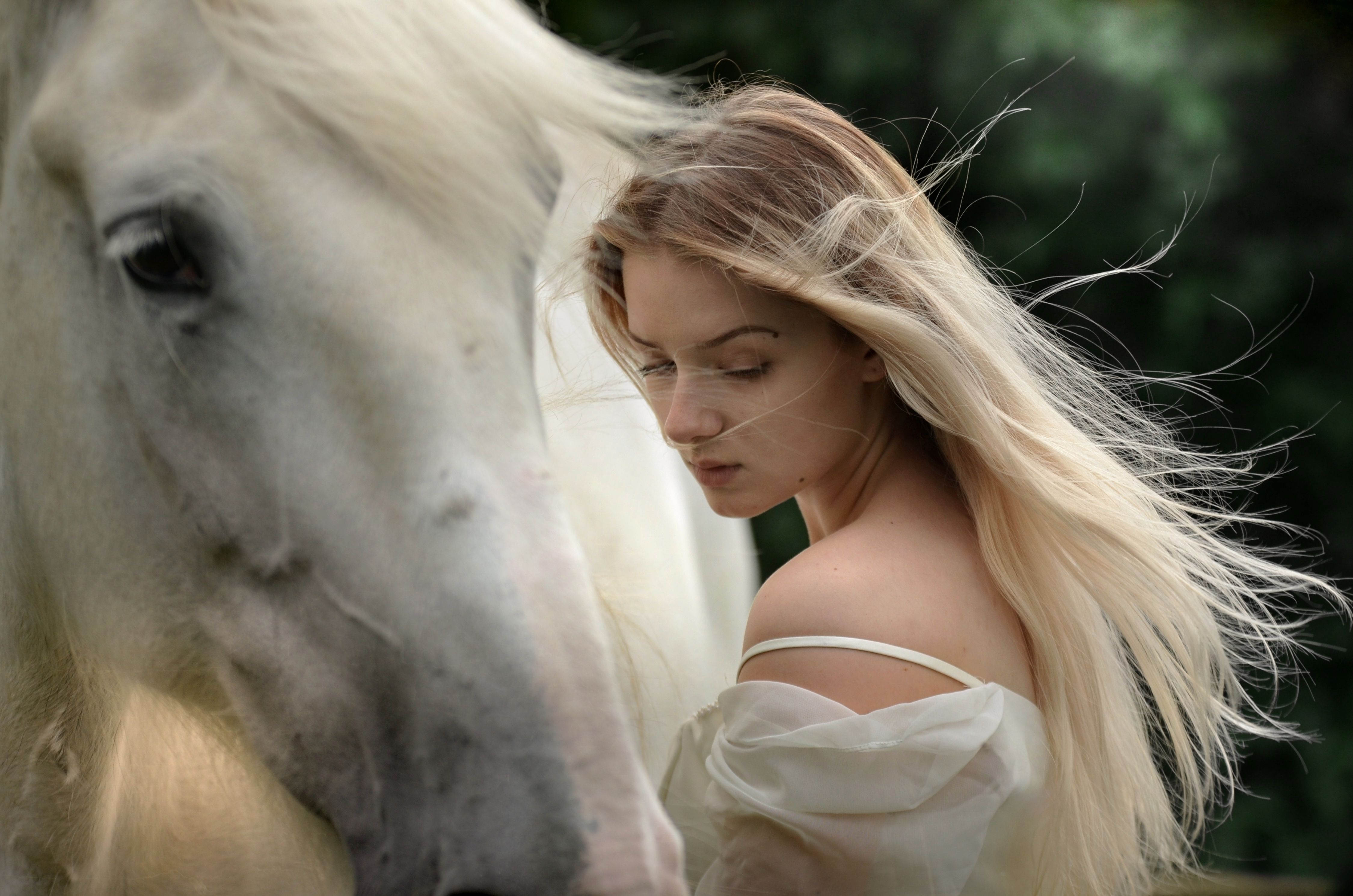 Beautiful Girl With Horse 4096x3072 Resolution HD 4k