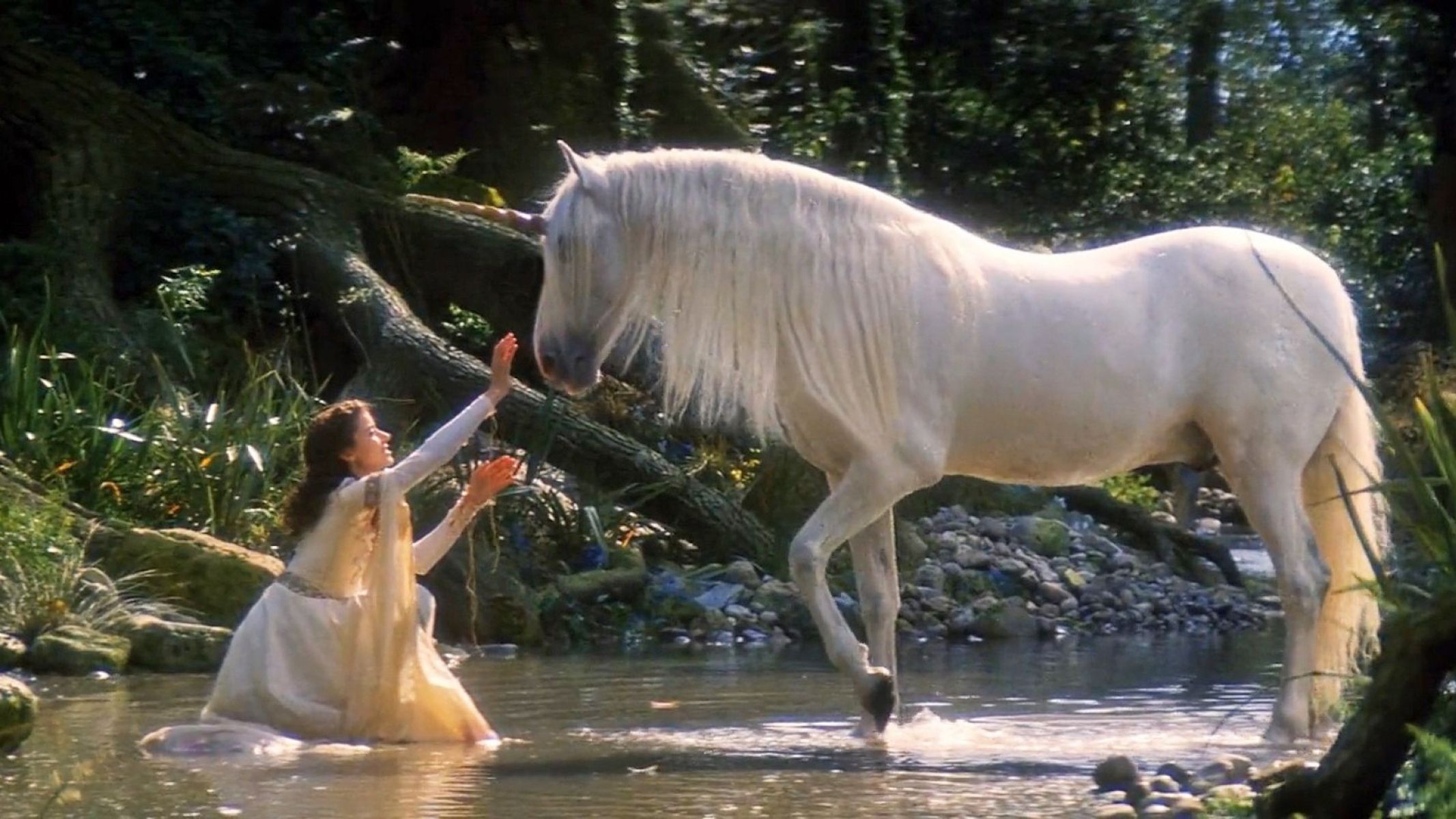 Legends Of The Unicorn, White Horse Girl And Horse Unicorn HD