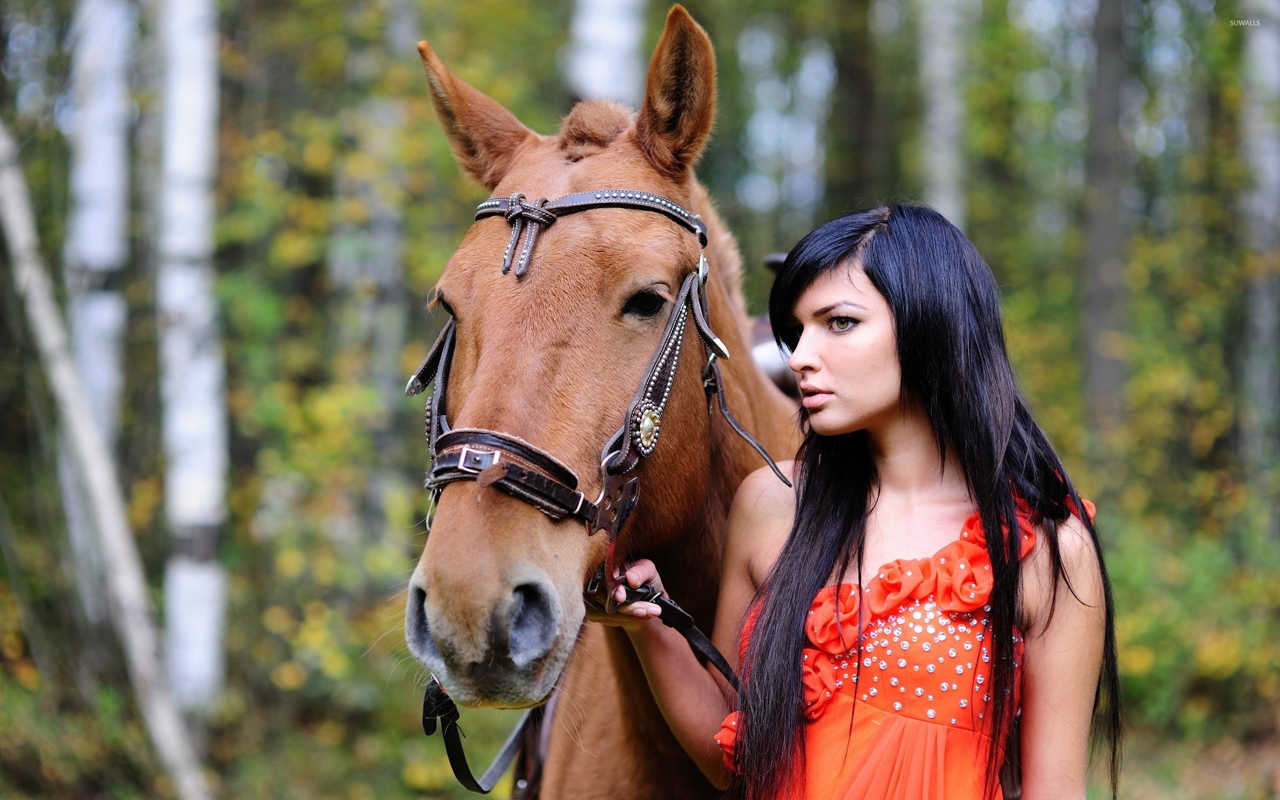 Girl with her horse in the forest wallpaper wallpaper