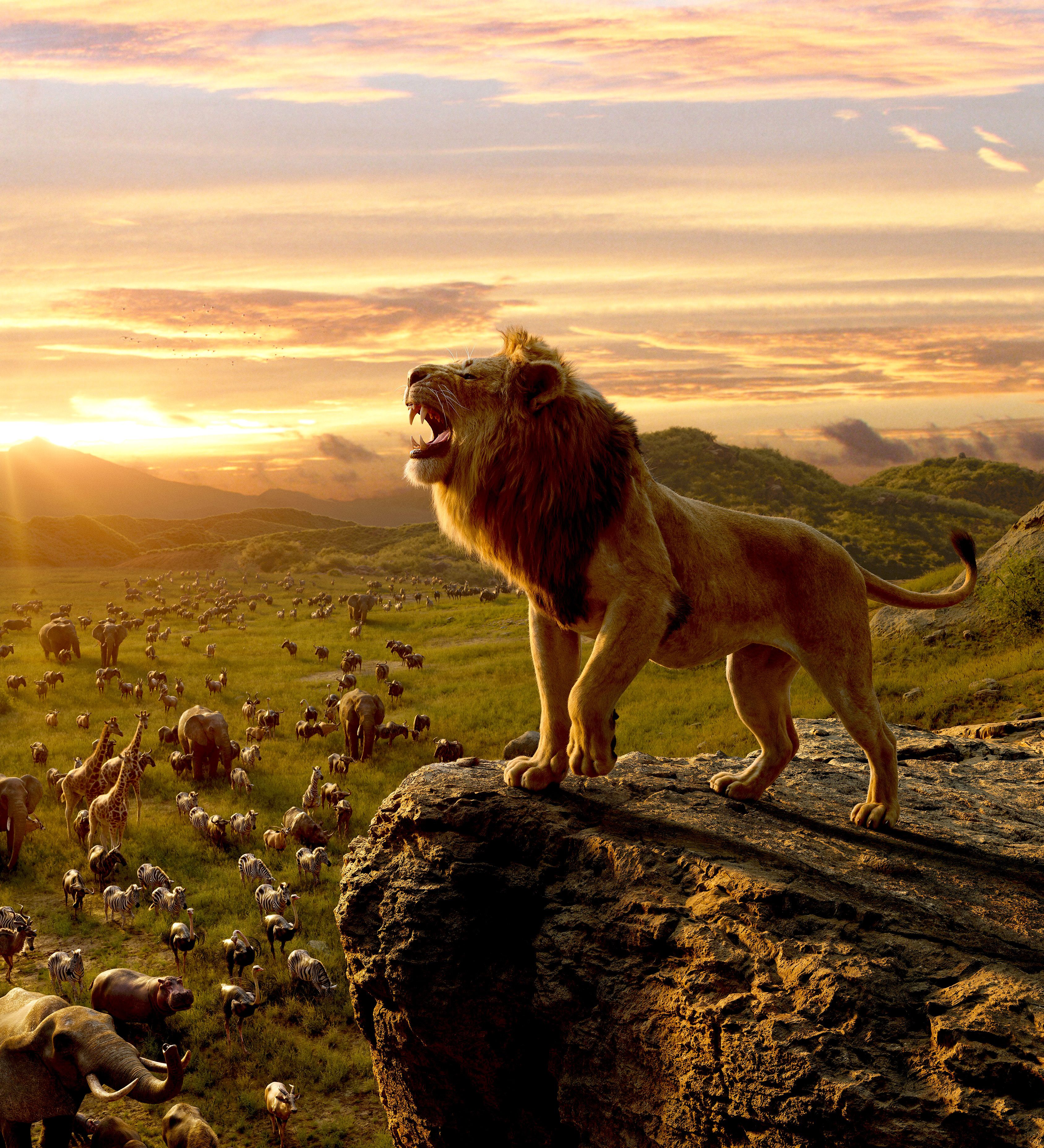 Wallpaper The Lion King, Simba, 4K, Movies