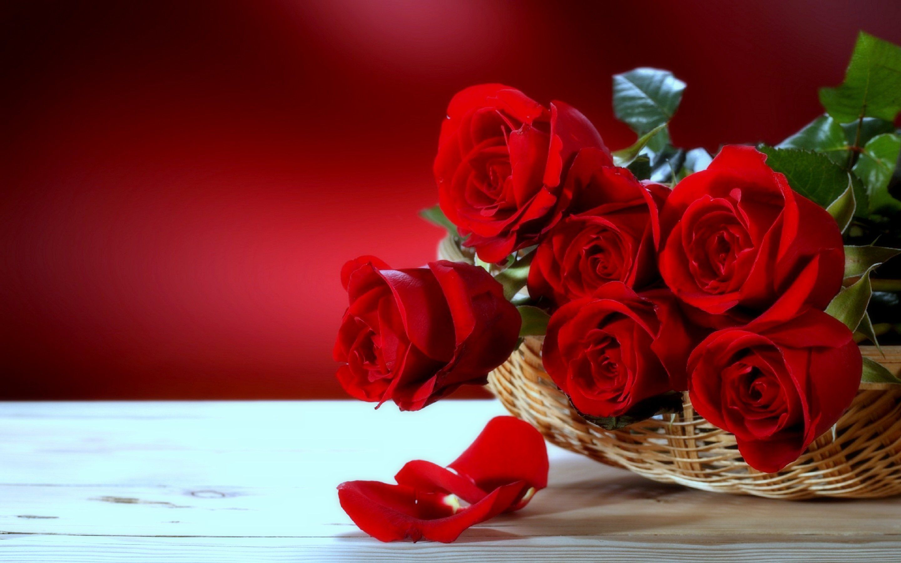Desktop Wallpaper Roses