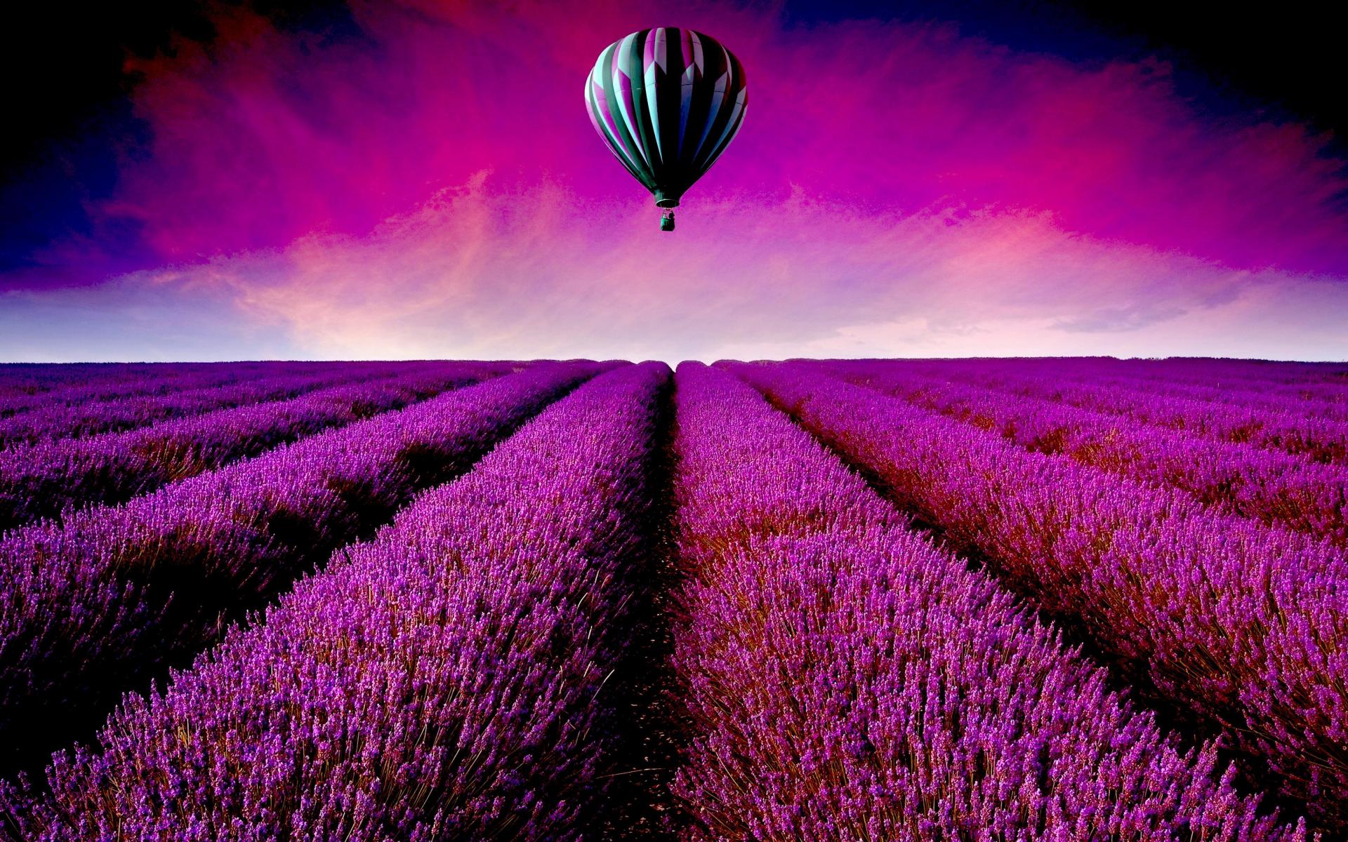 Lavender Field Hot Air Balloon desktop PC and Mac wallpaper