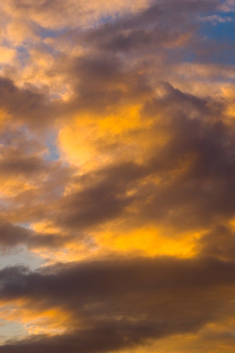 Download wallpaper 800x1200 clouds, sky, sunlight, white, blue