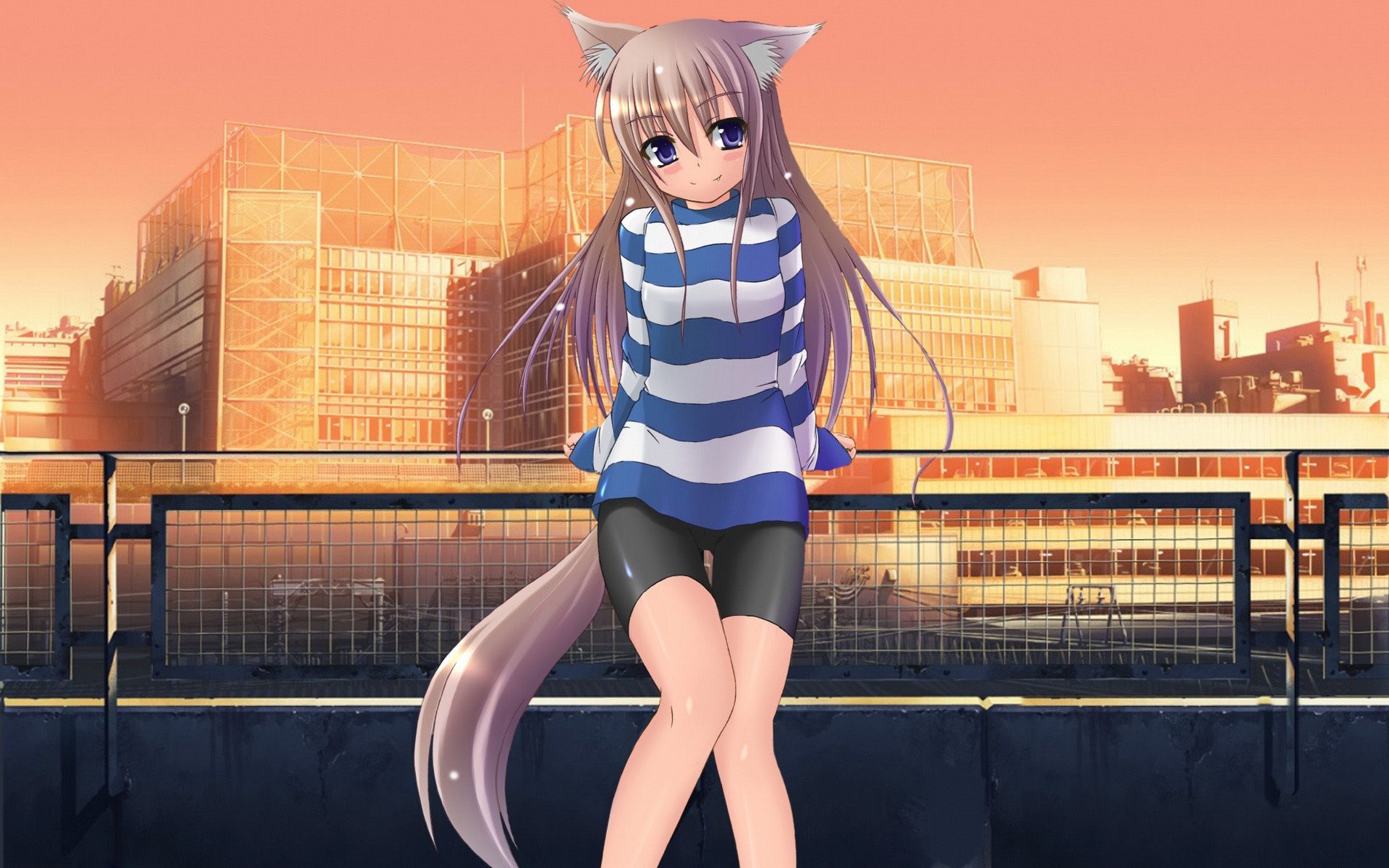 Anime Girl Cat HD wallpaper