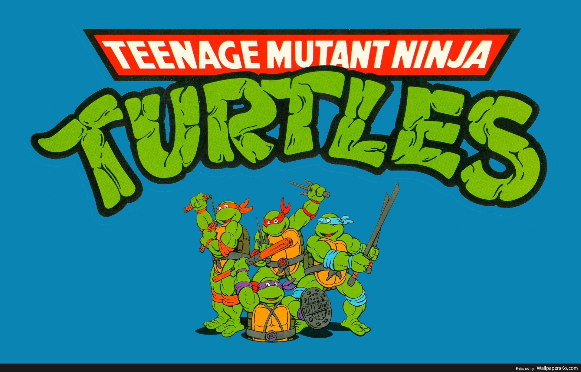 teenage mutant ninja turtles cartoon wallpaper, HD Wallpaper