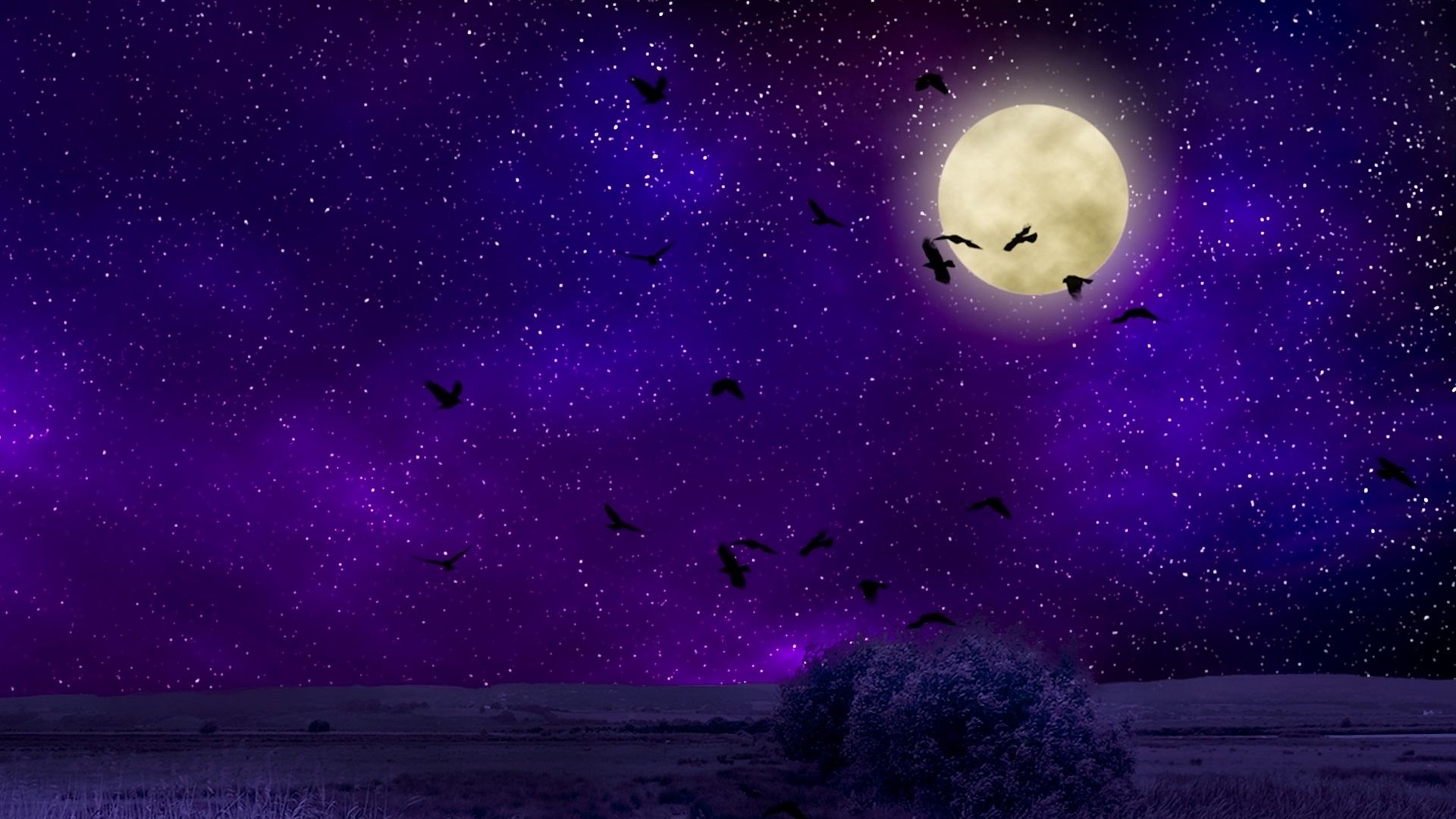 Purple Moon Wallpapers - Wallpaper Cave