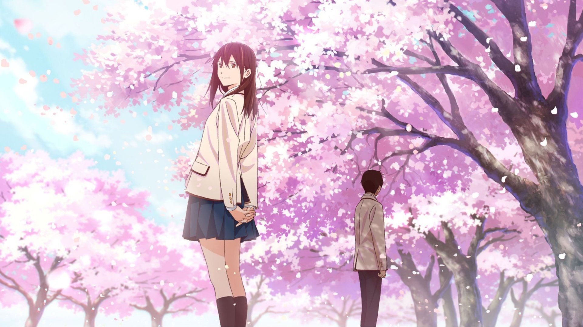 I Want To Eat Your Pancreas Wallpapers.