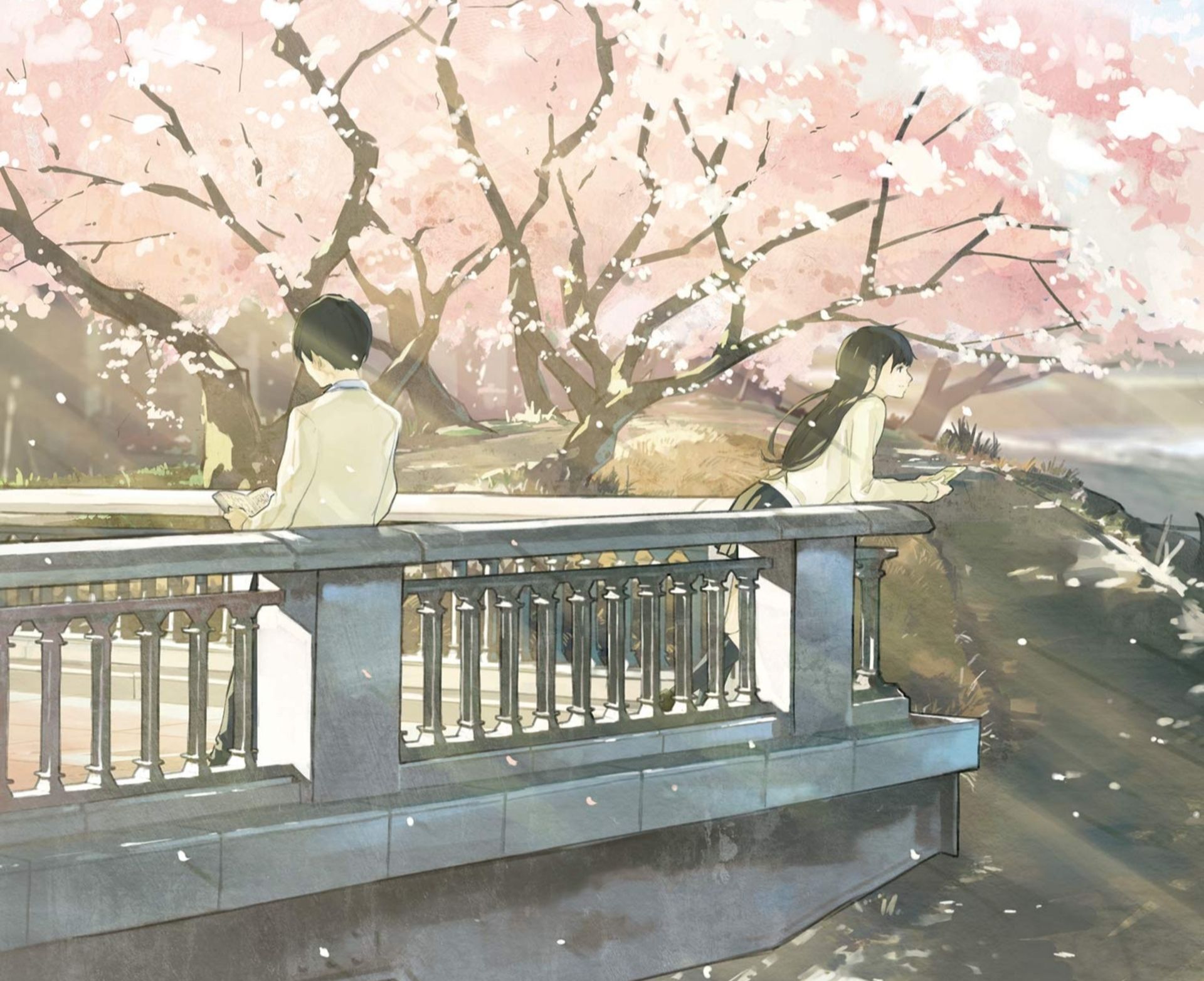 Anime I Want To Eat Your Pancreas Sakura HD Wallpapers - Wallpaper Cave