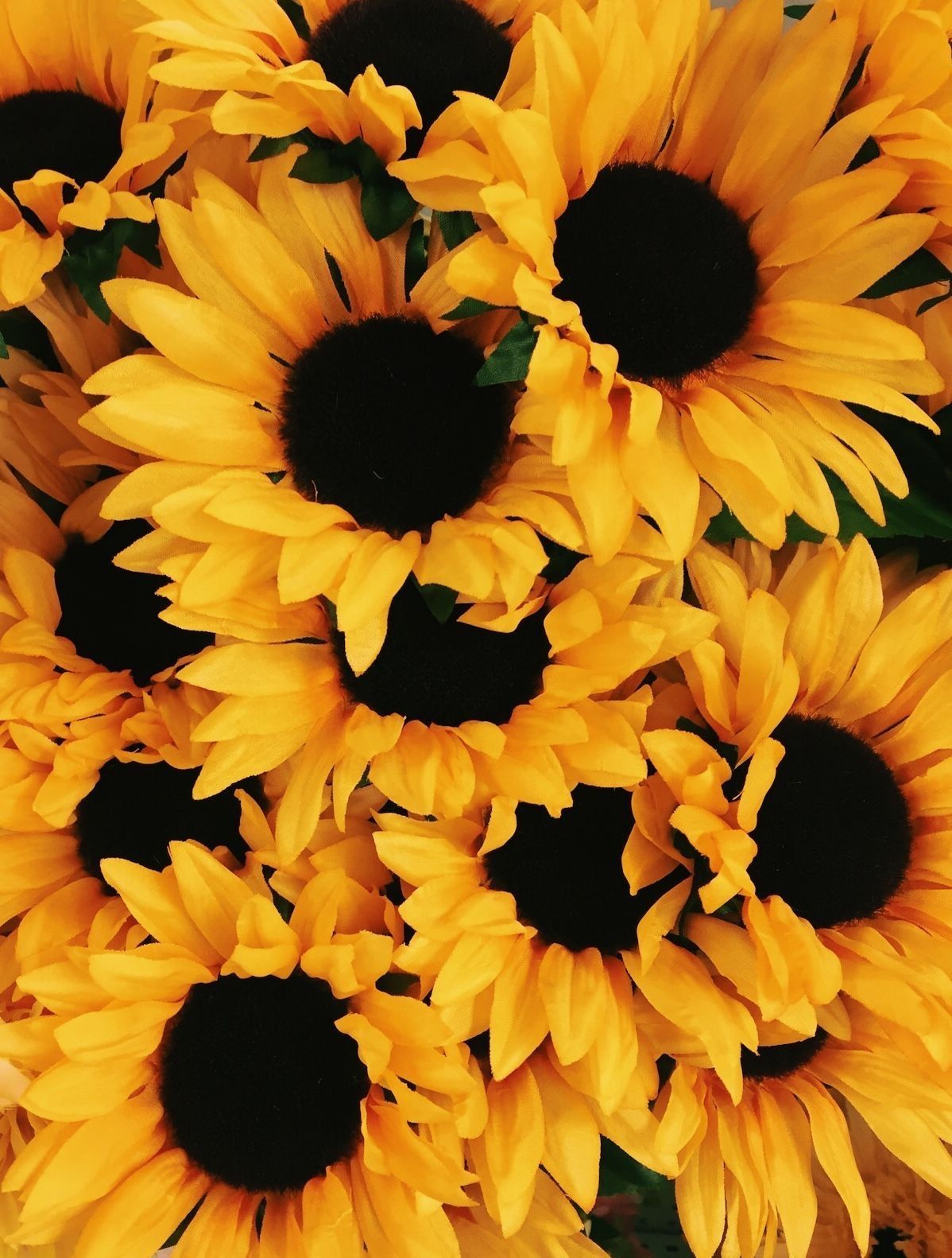 Sunflower Aesthetics Wallpapers Wallpaper Cave 0849