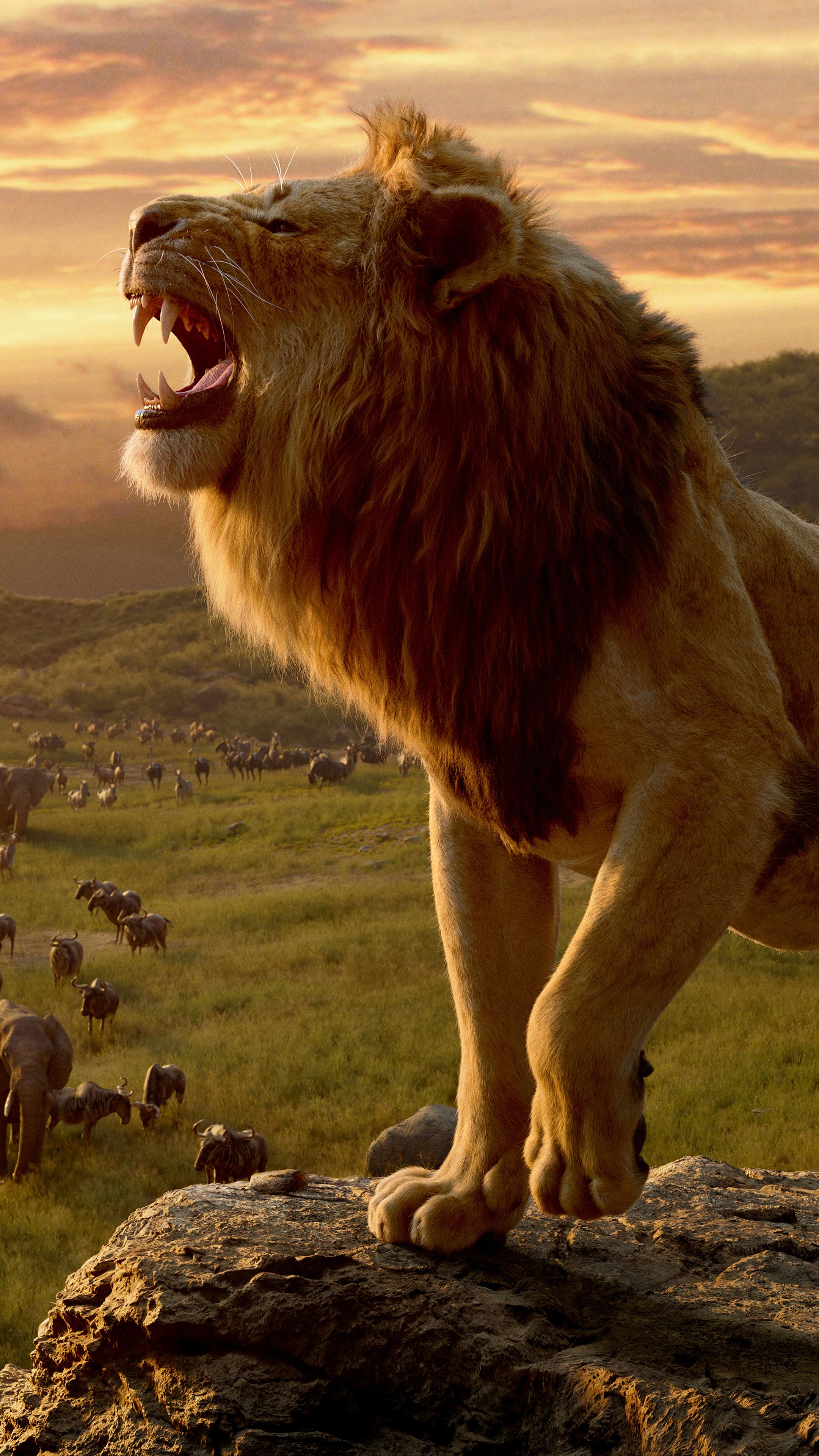 Movie The Lion King (2019) (2160x3840) Wallpaper