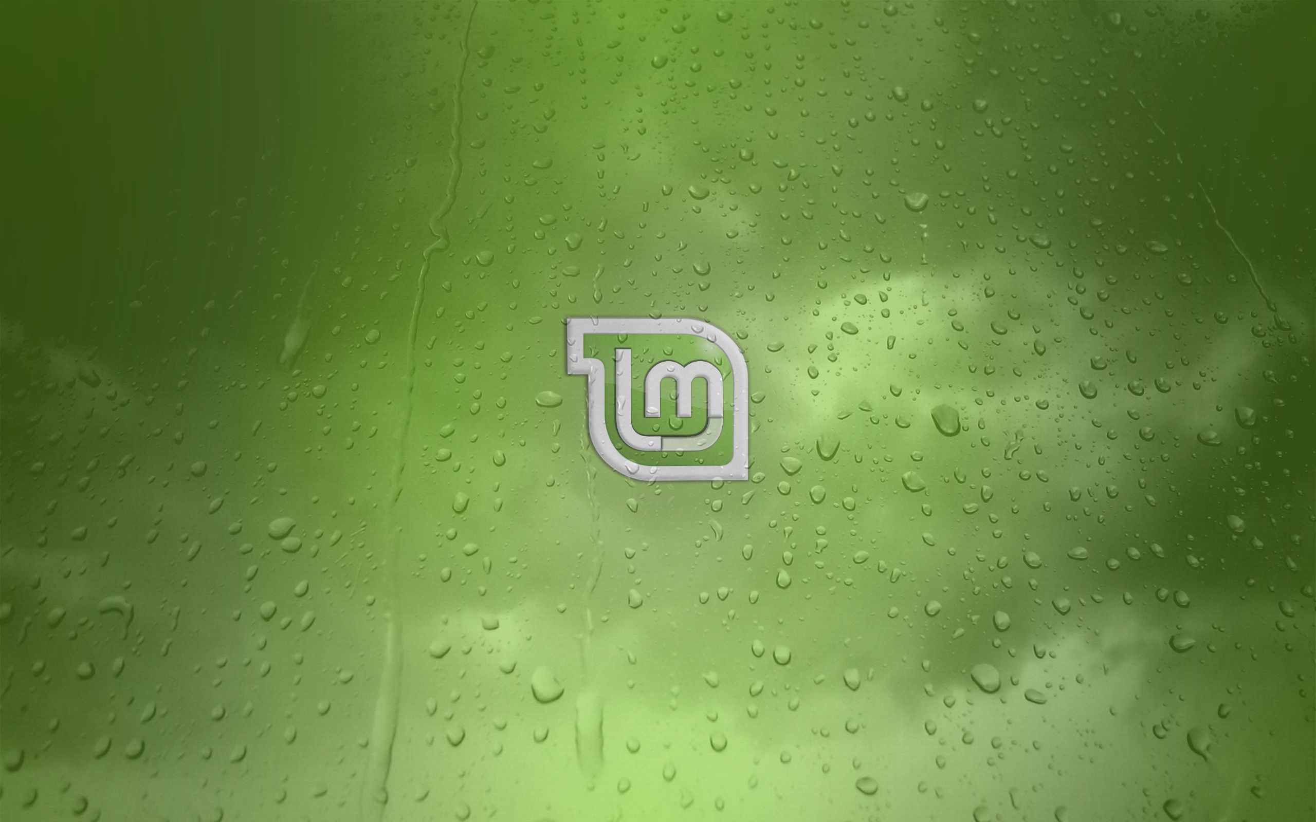 Free download Linux mint Awesome Wallpaper [2560x1600]